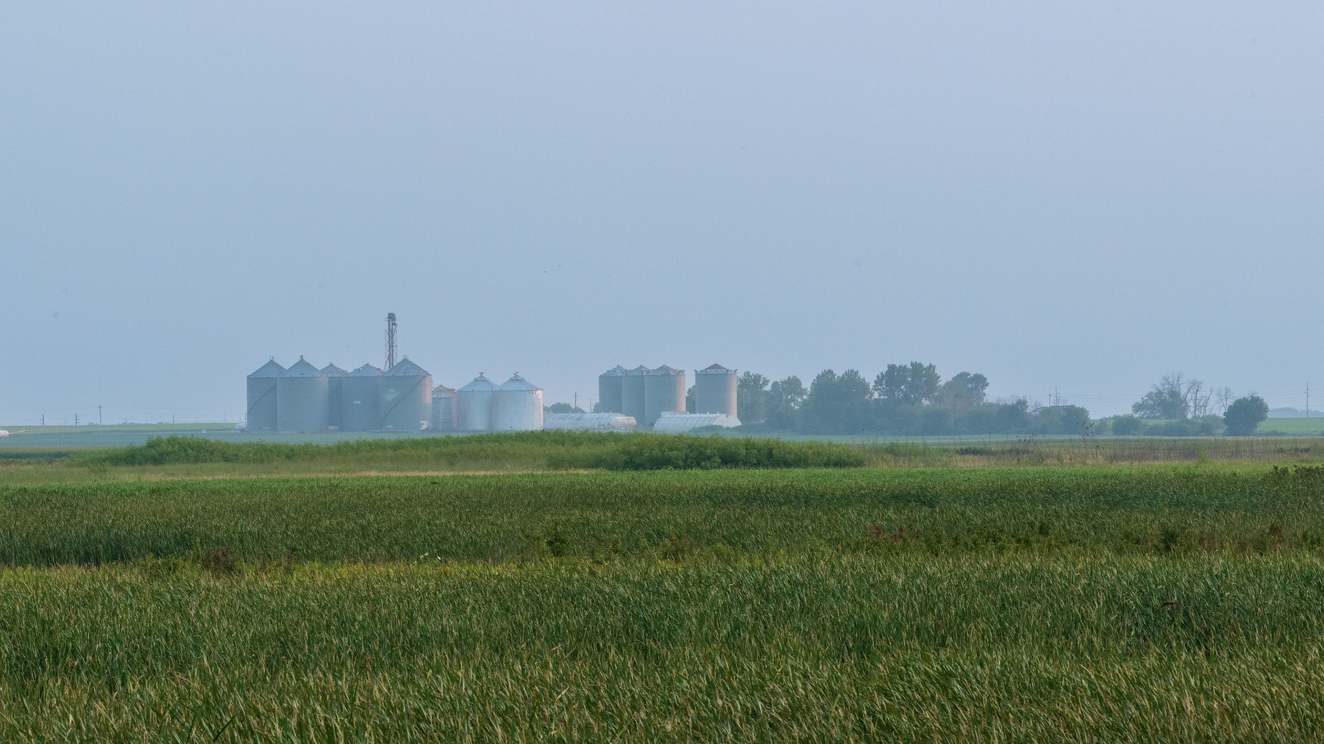 Farmer Coop - Paul Errington Marsh