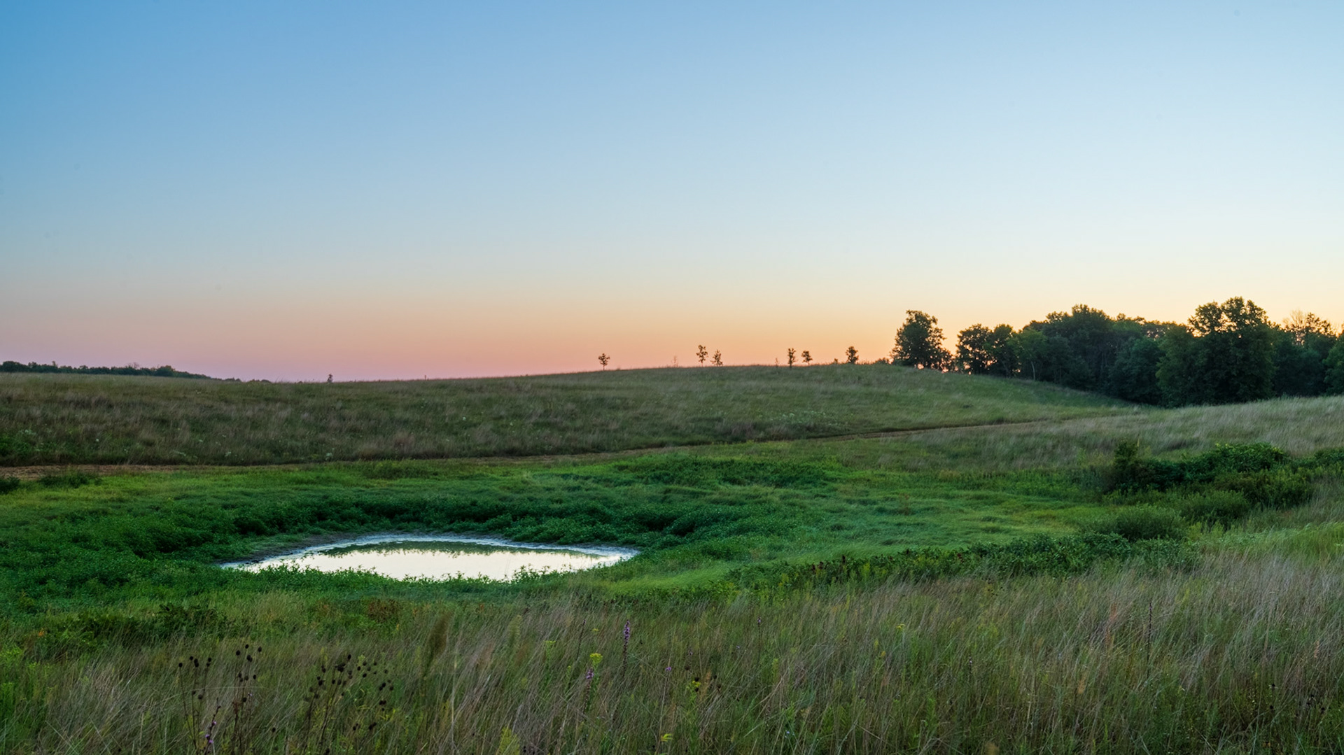 Prairie Pothole