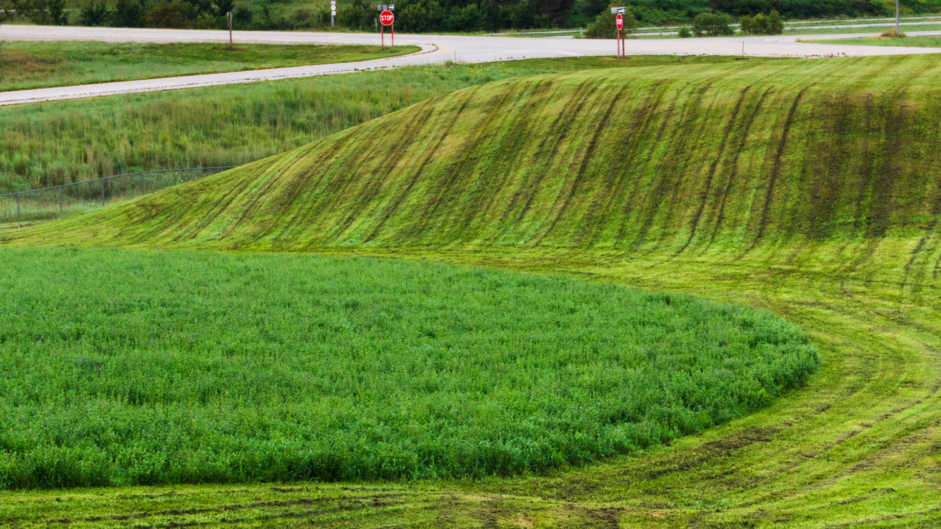 Mown