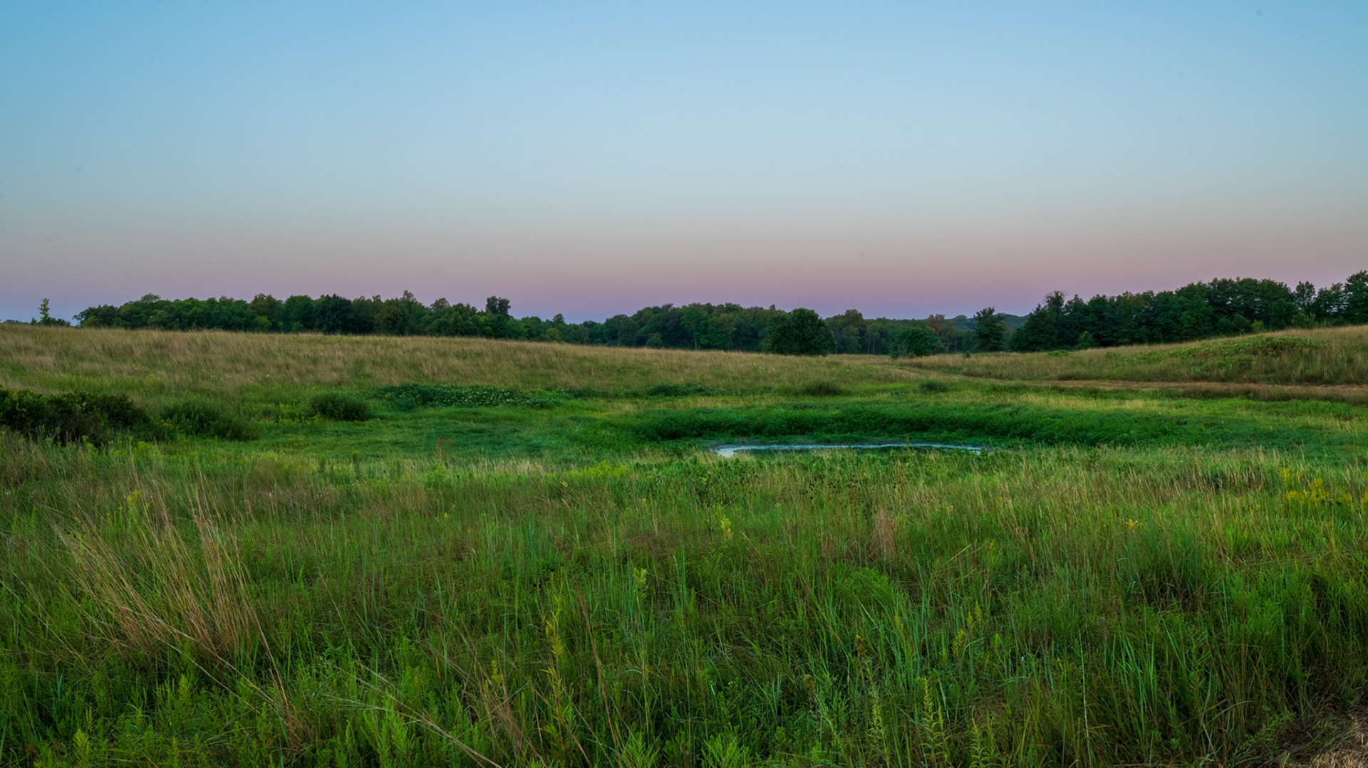 Prairie Pothole
