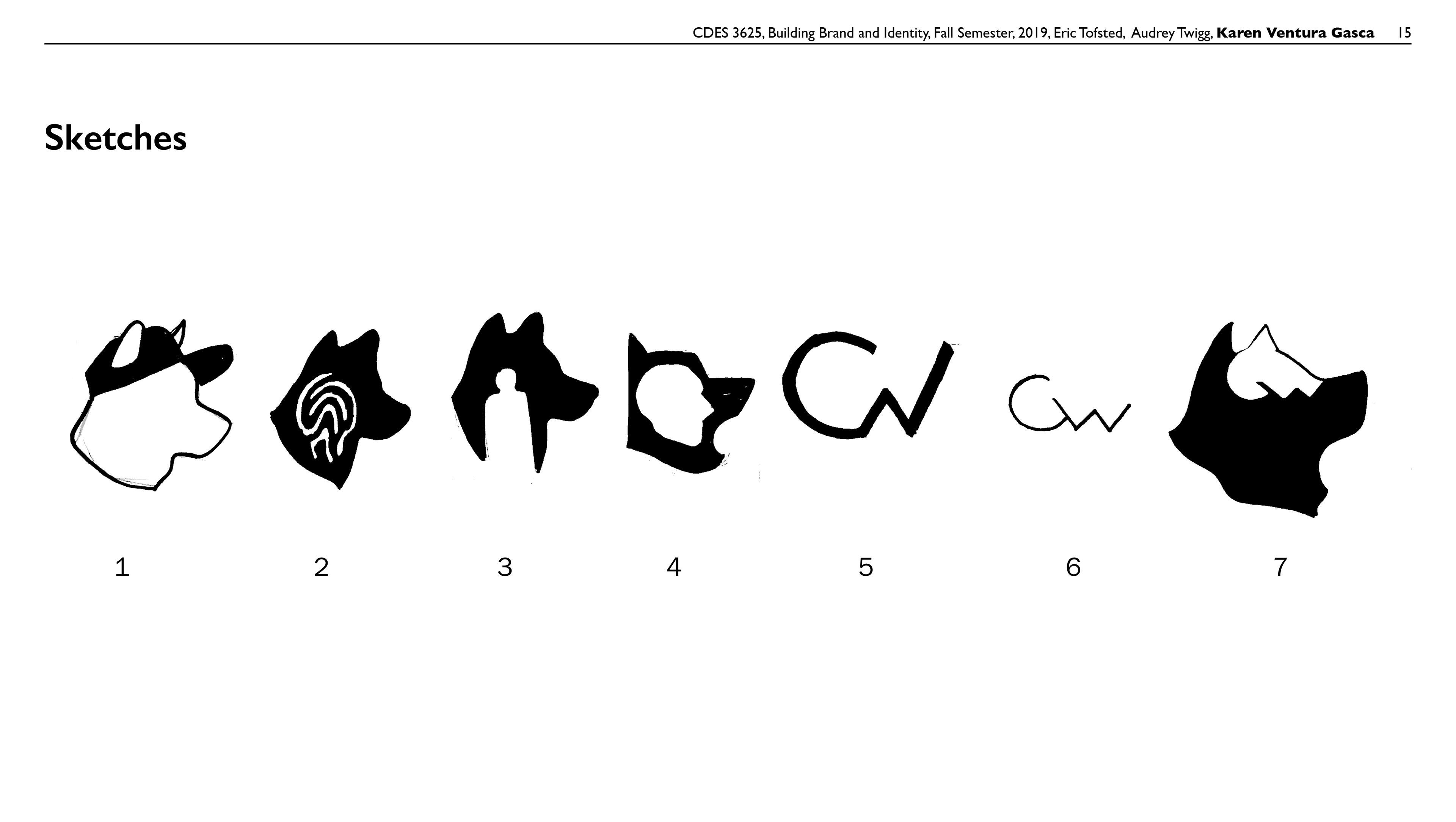CitizenWolf Logo Sketches , Credit: Karen Ventura Gasca