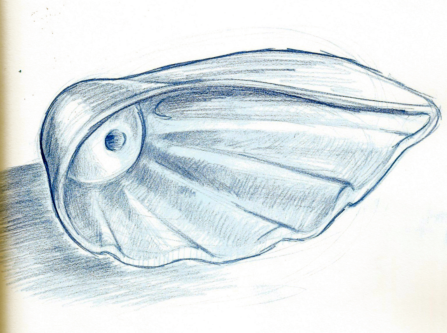 Concept 2, Sketch 1