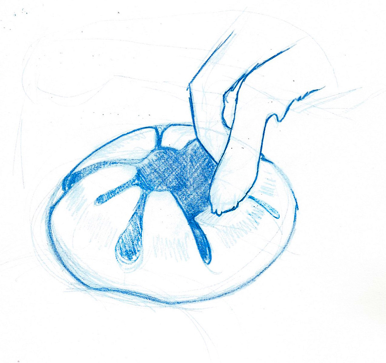 Concept 3, Sketch 2