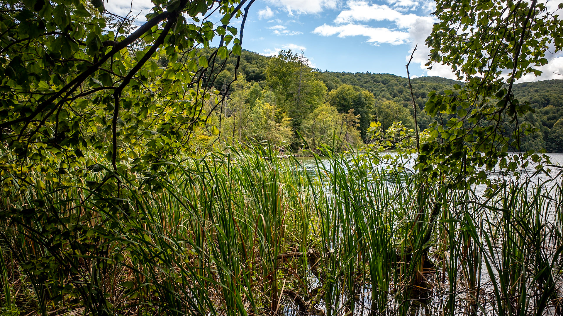 Lacs de Plitvicka Jeresa