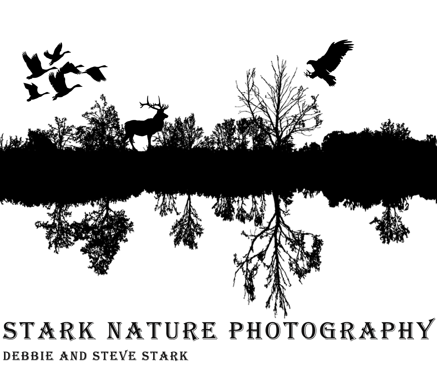 Stark Nature Photography