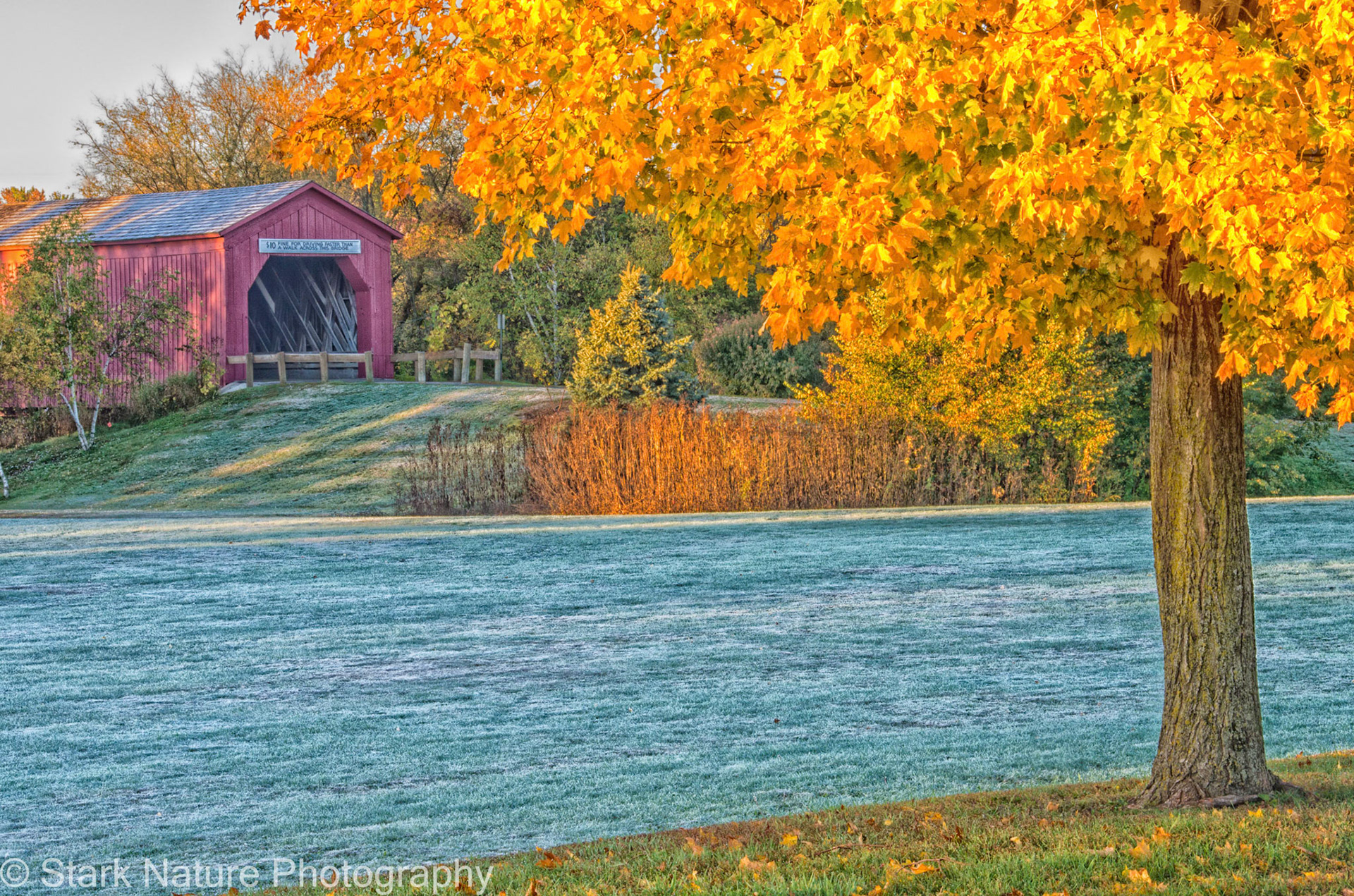 Covered Bridge, Zumbrota MN_001