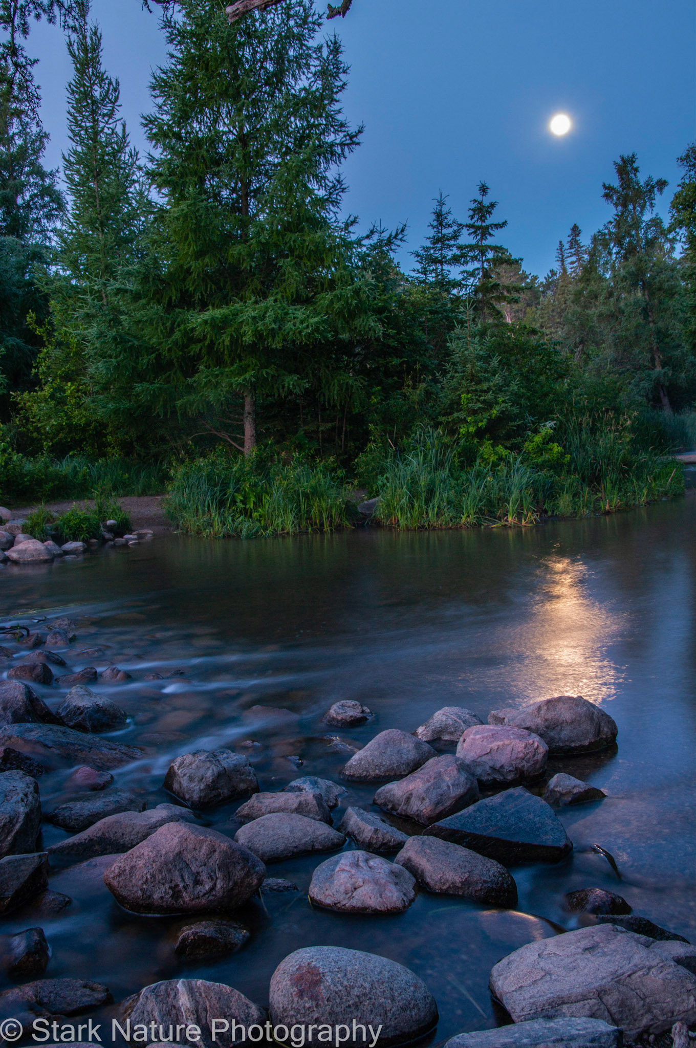 Mississippi Head Waters_002