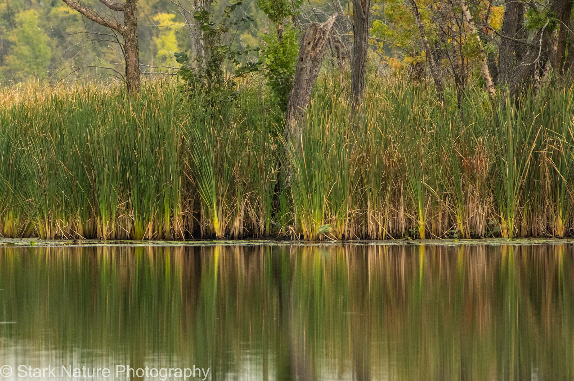 Bartlet Lake, Winona MN_001