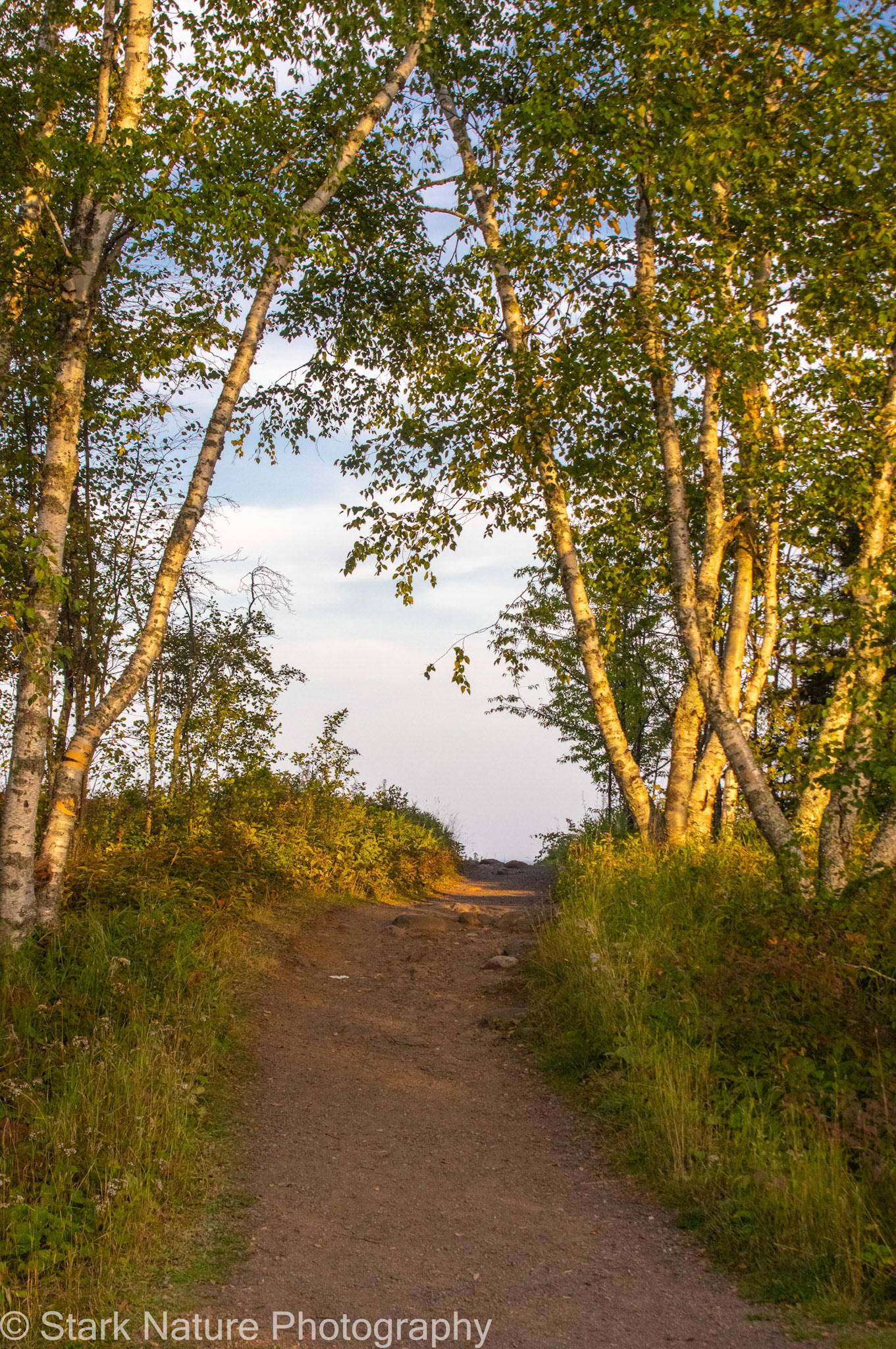 Gooseberry Falls Walk_001