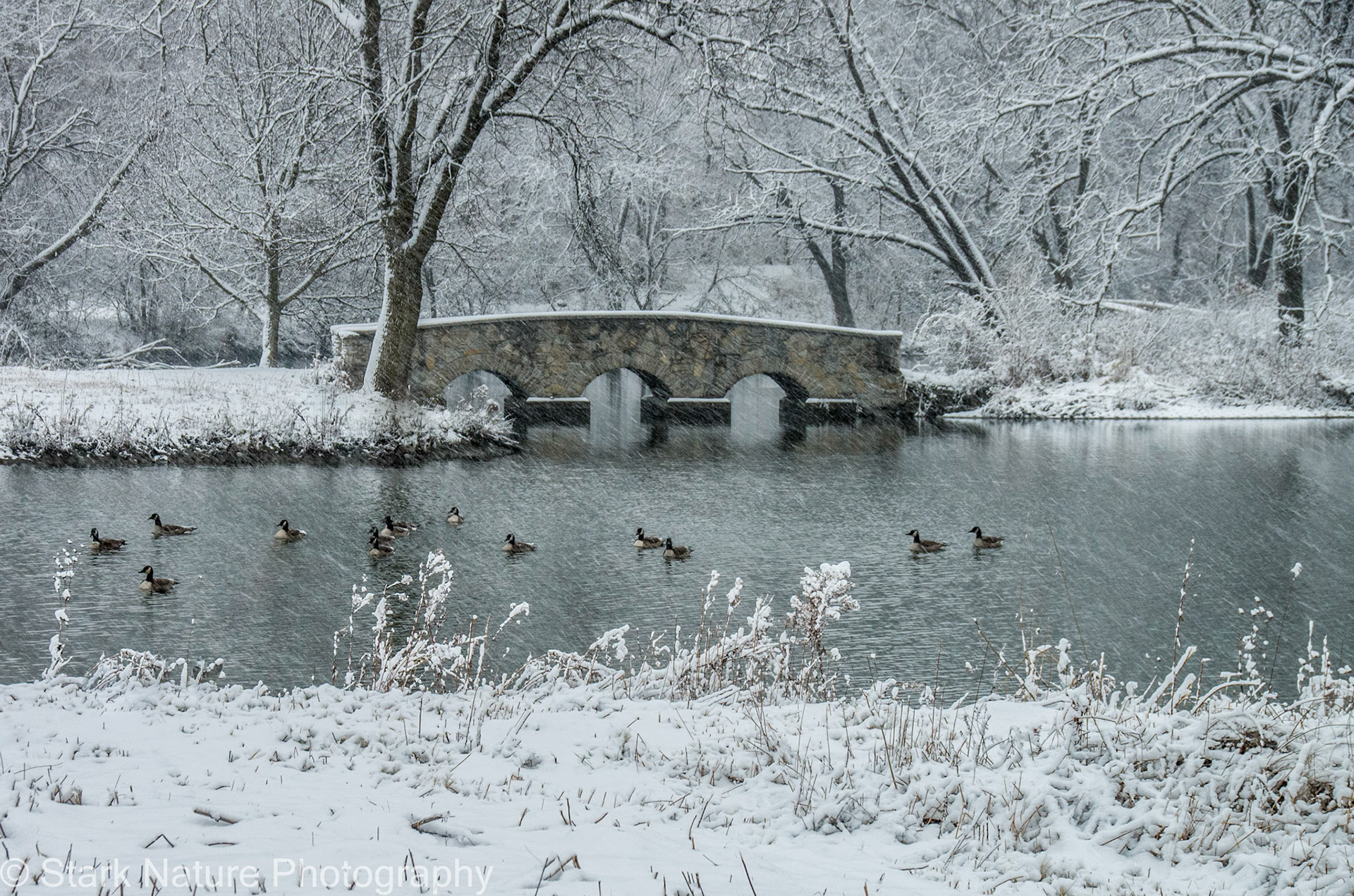 Silver Lake, Rochester MN_001