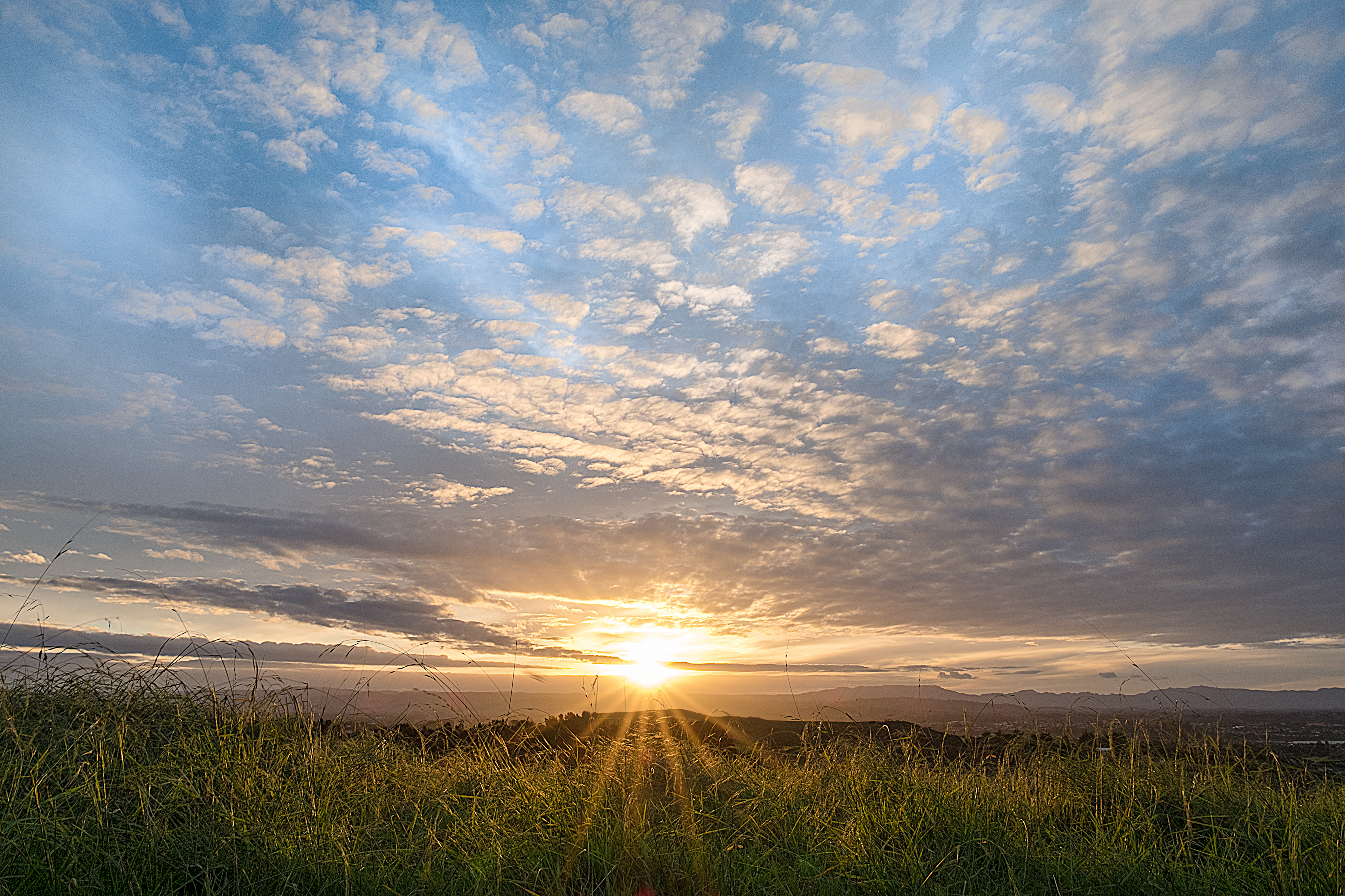 Rural New Zealand, sunset over fields of Tauranga