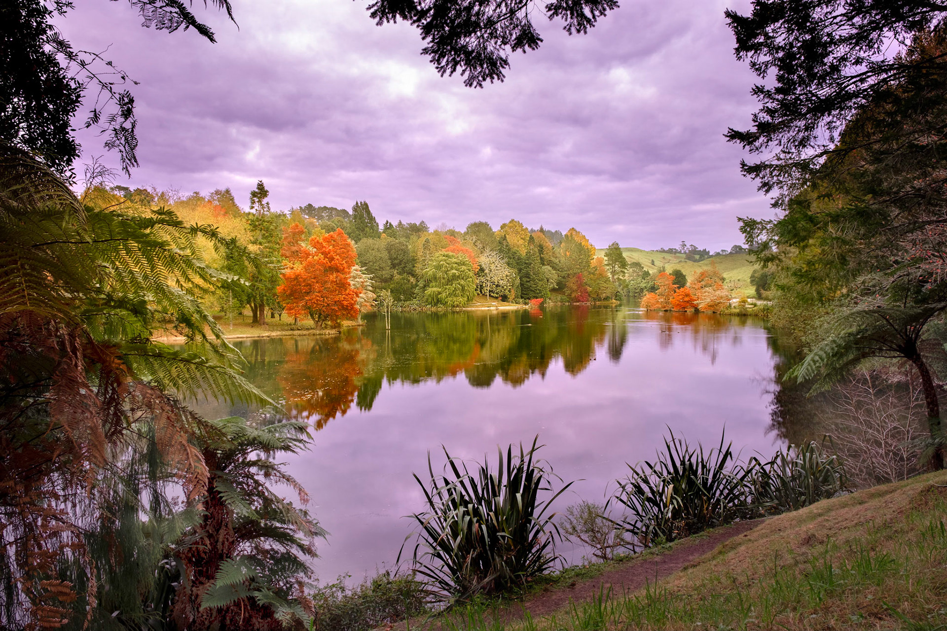 Sunrise at Mclaren's Falls Park, Tauranga