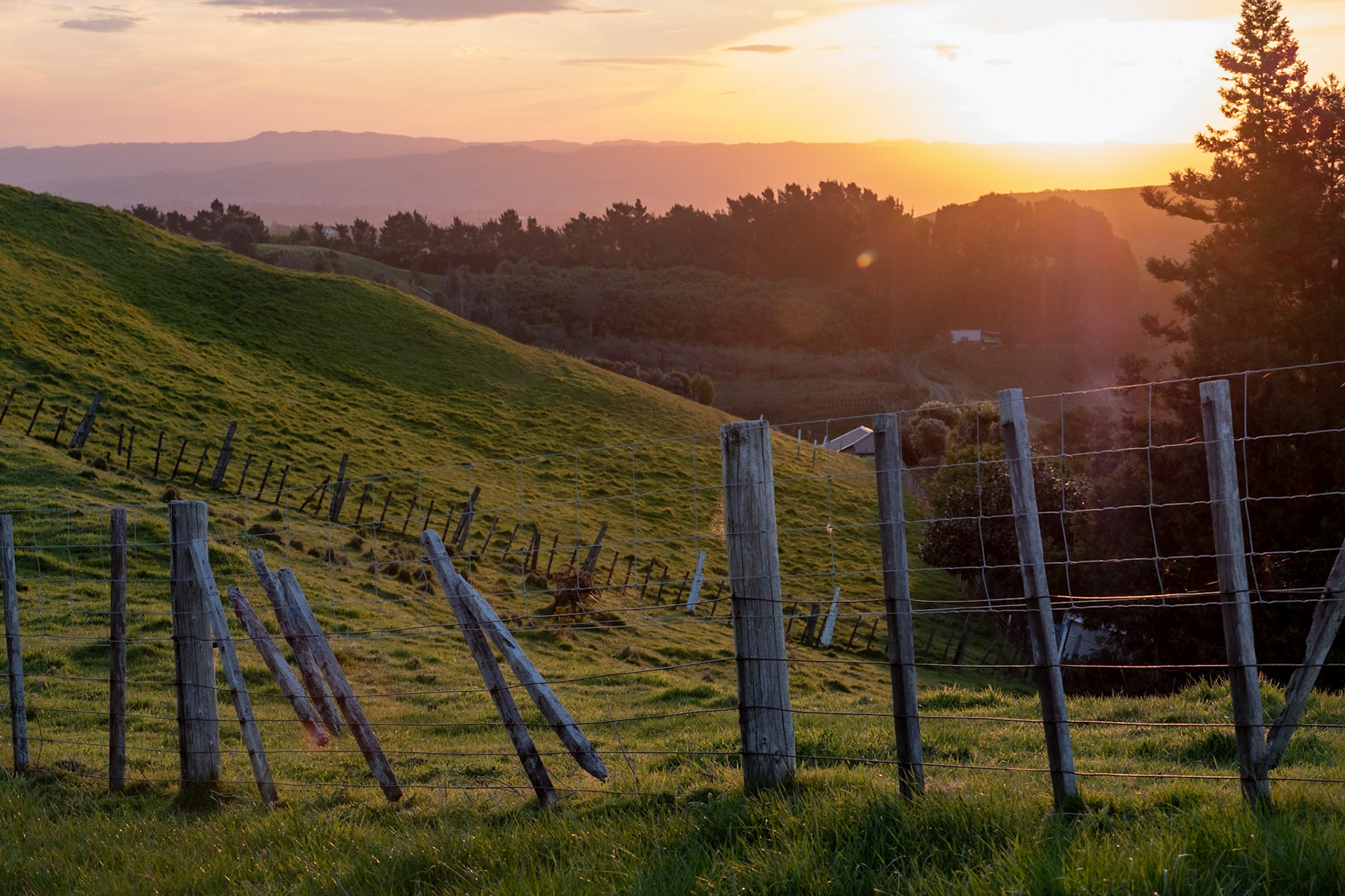 Rural New Zealand at sunset