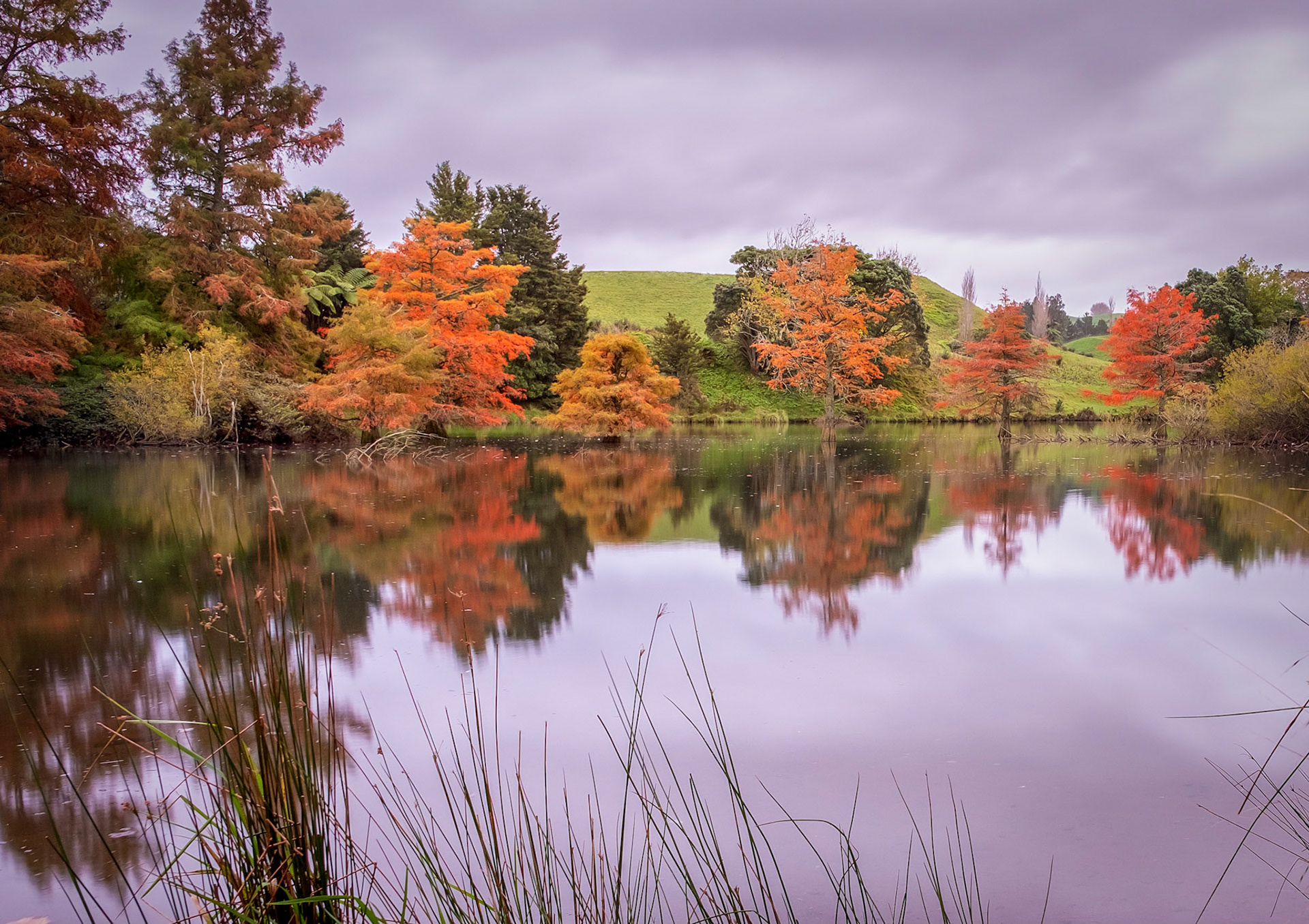 Sunrise at Mclaren's Falls, Park, Tauranga