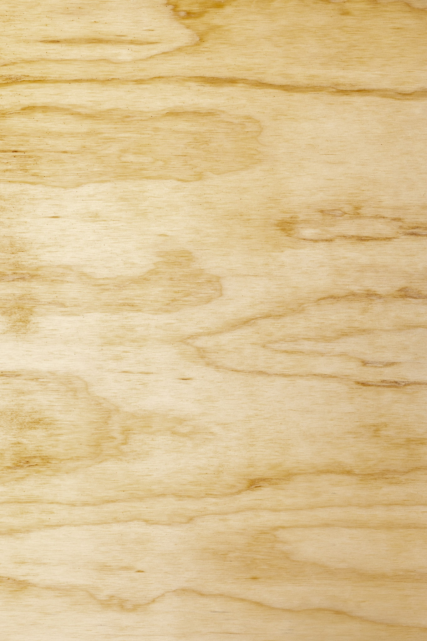 Oiled ply