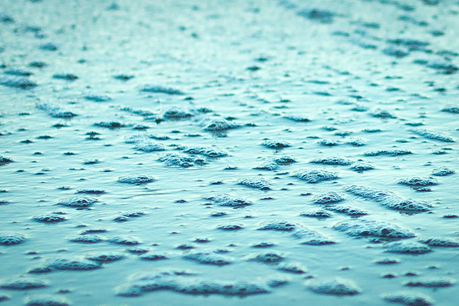 Stylised shot of the beach, Bay of Plenty