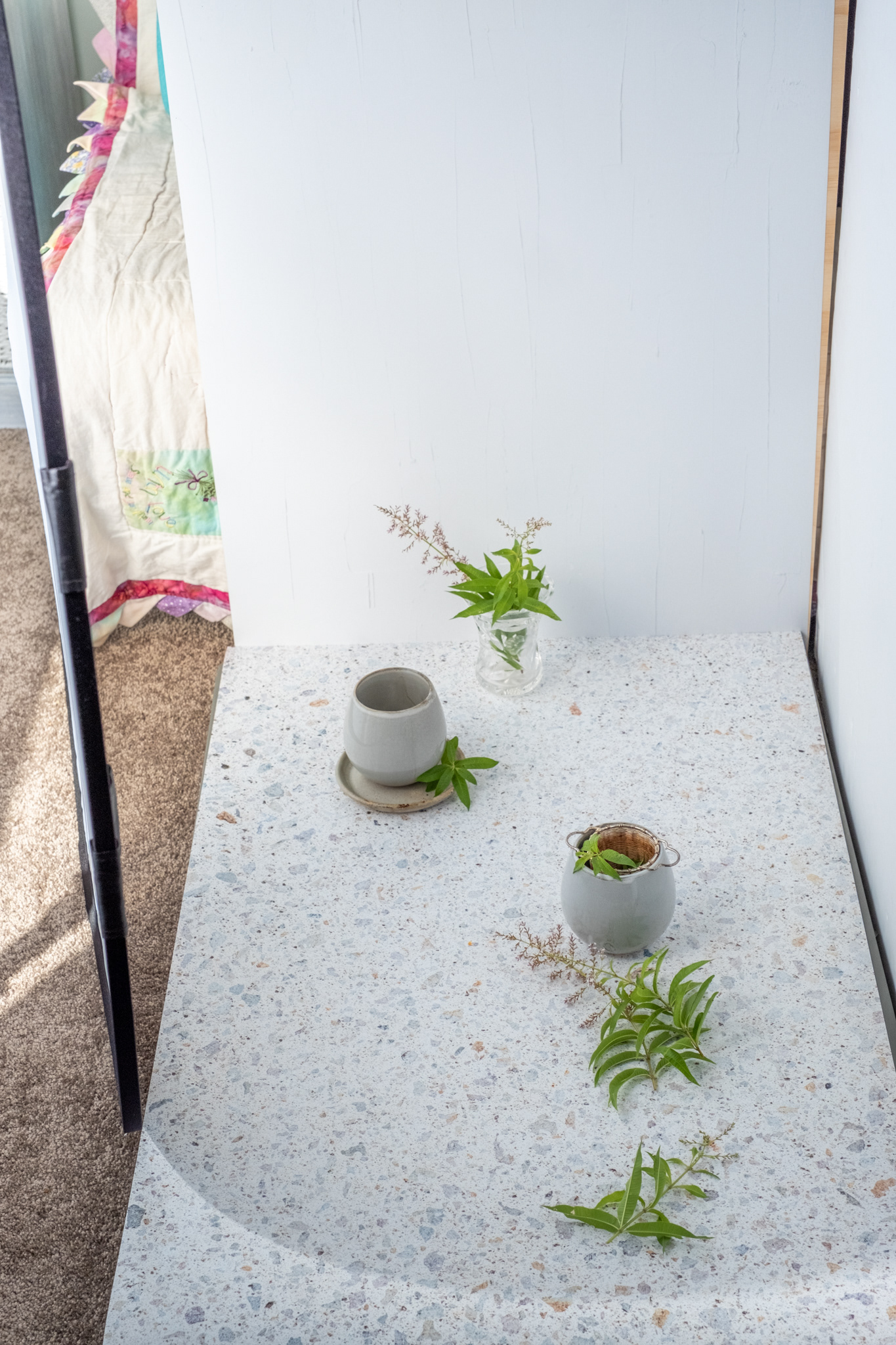 Cream ground concrete backdrop