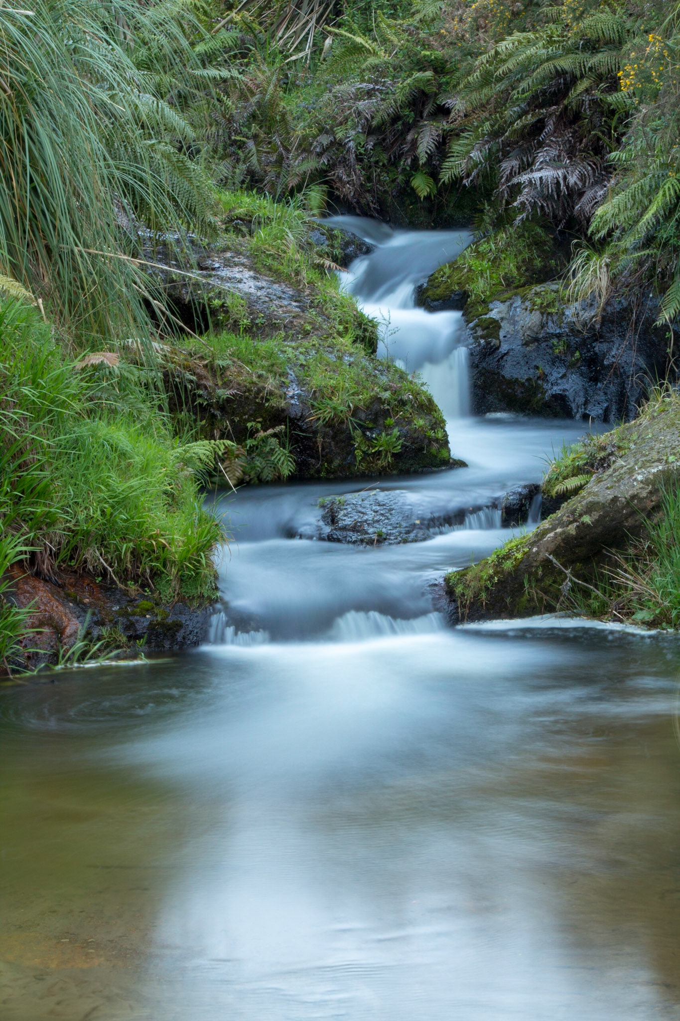 Long exposure shot, stream in Tauranga, Bay of Plenty