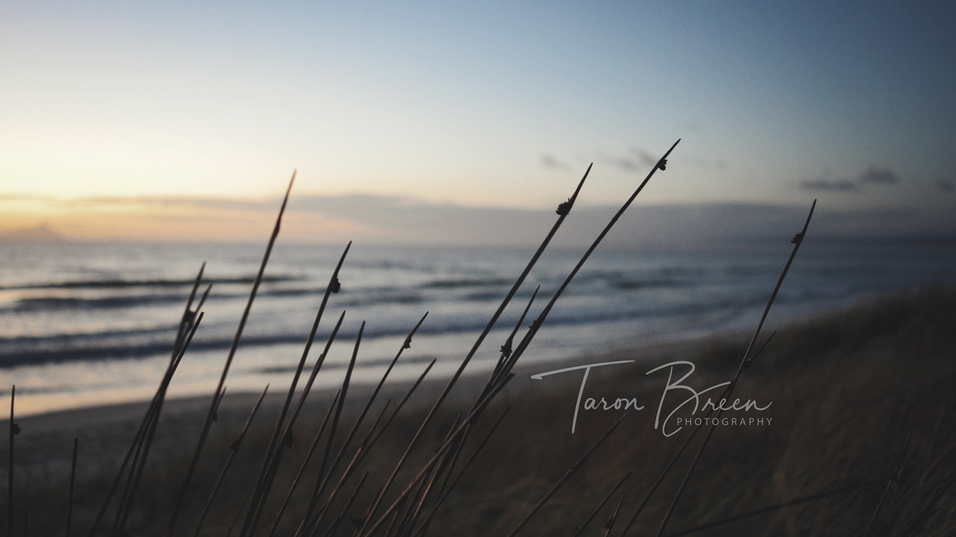 #13 | Ruakaka Beach | Northland | New Zealand