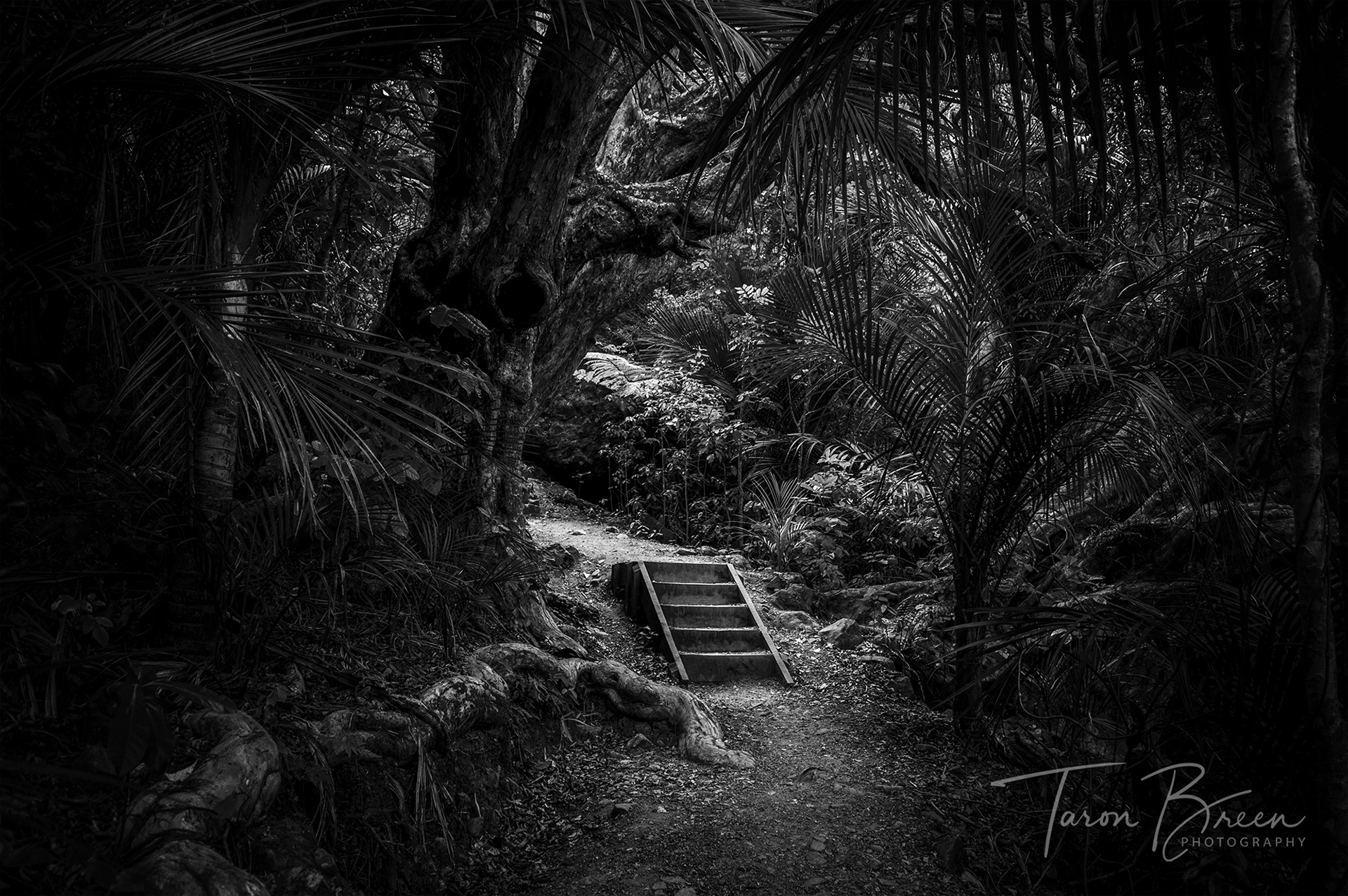 #22 | Mount Manaia | Northland | New Zealand