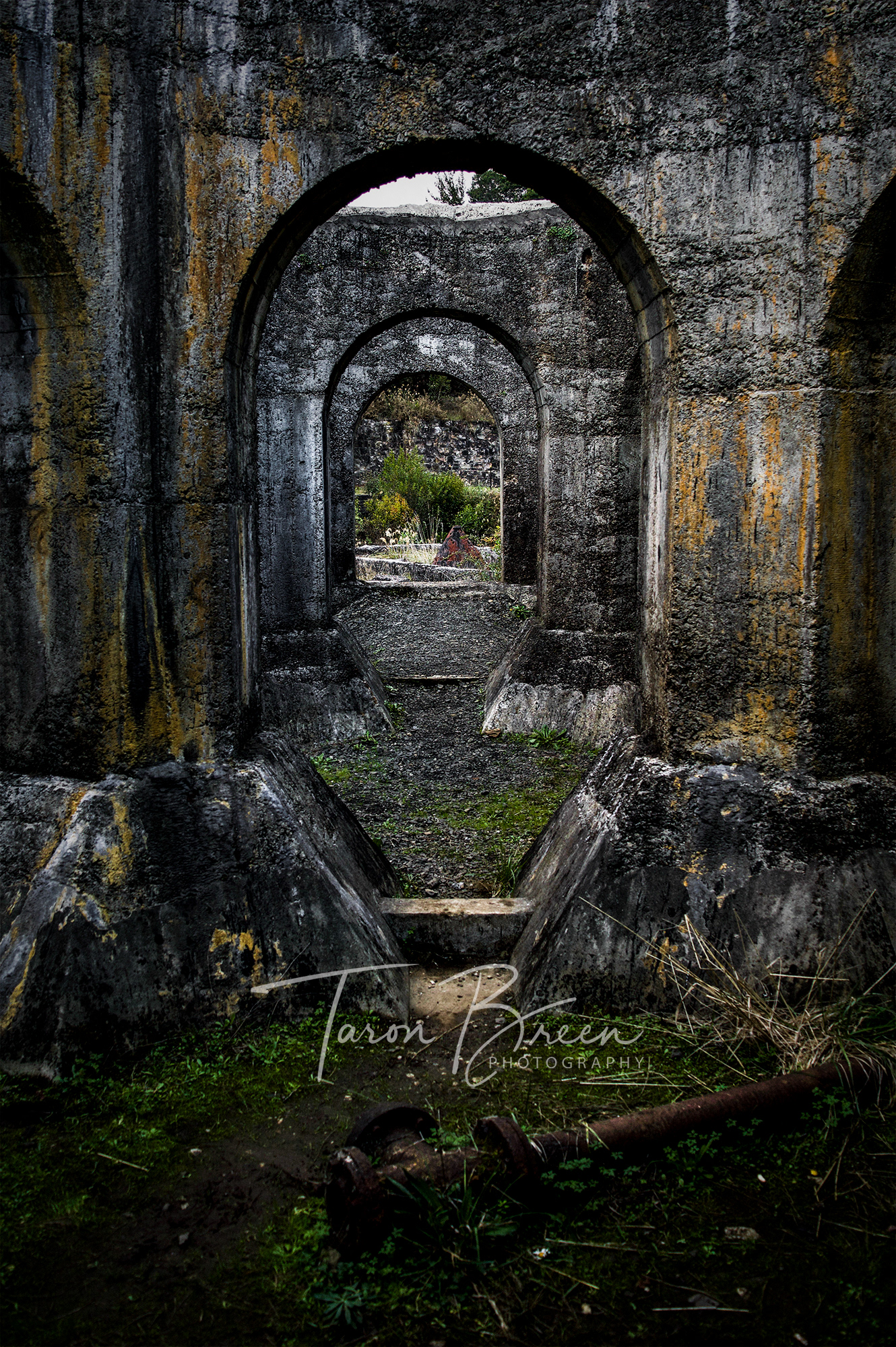 #14 | Victoria Battery Site | Waikino