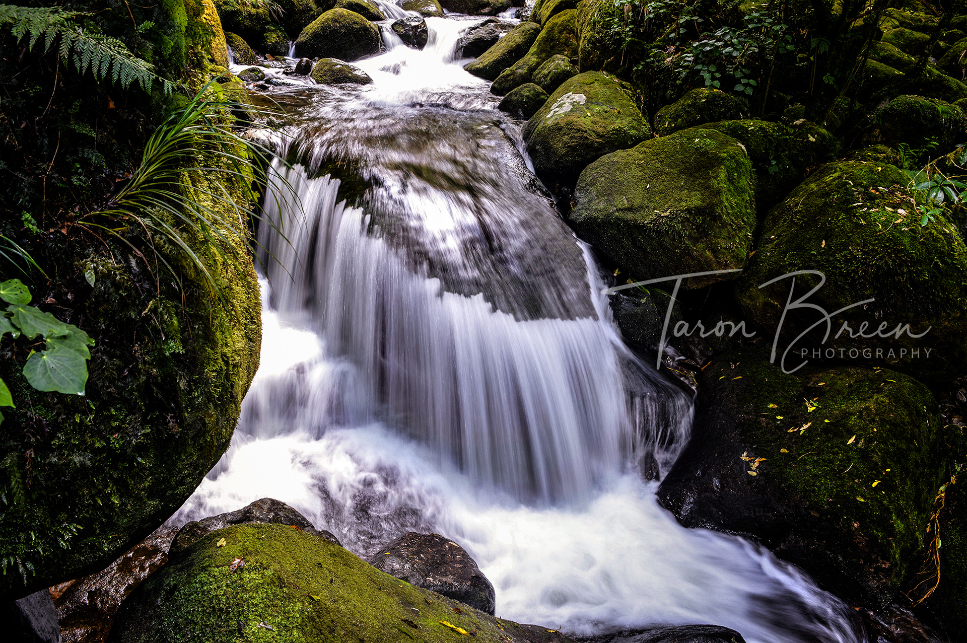 #7 | Wairere Falls | Okauia | New Zealand