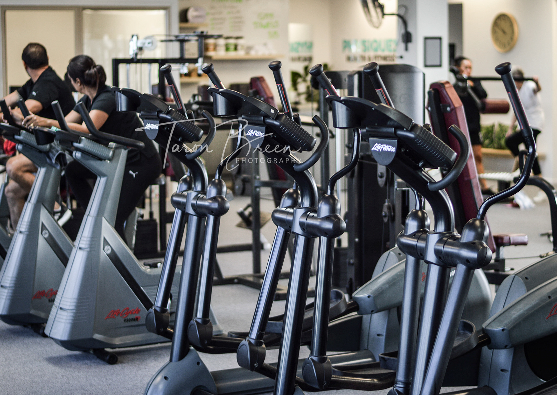 Physiques Healthcares & Fitness | Rototuna | Hamilton
