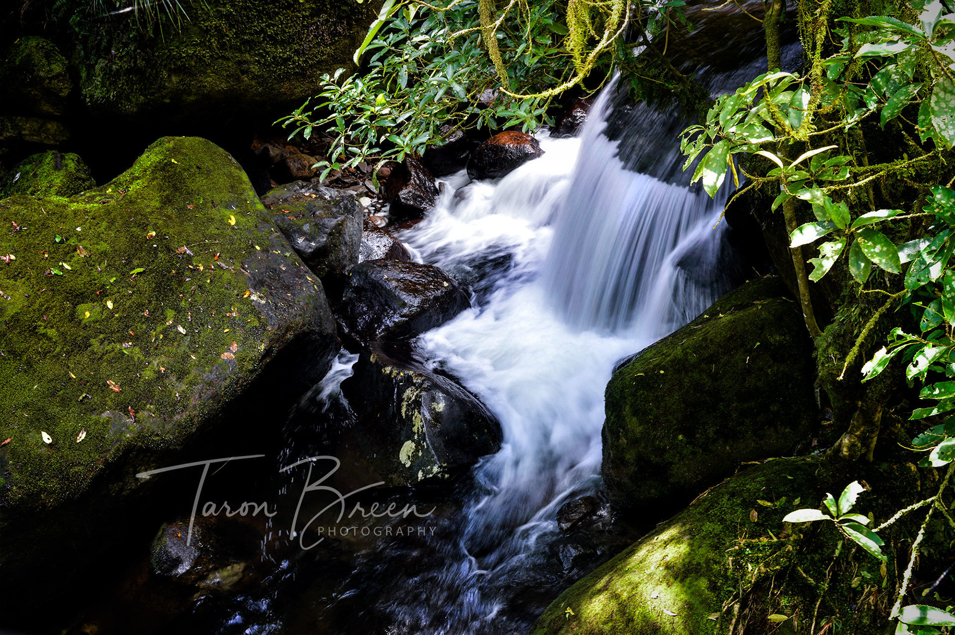 #12 | Wairere Falls | Okauia | New Zealand