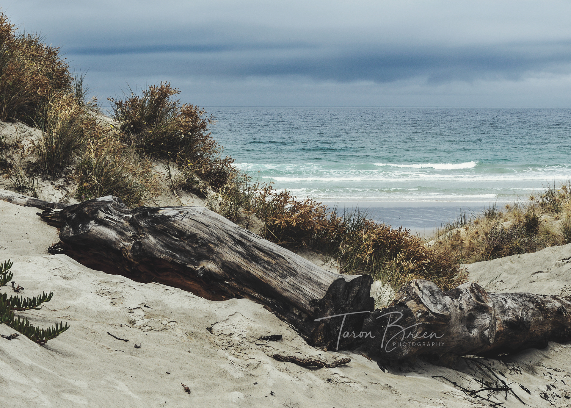 #11 | Ruakaka Beach | Northland | New Zealand