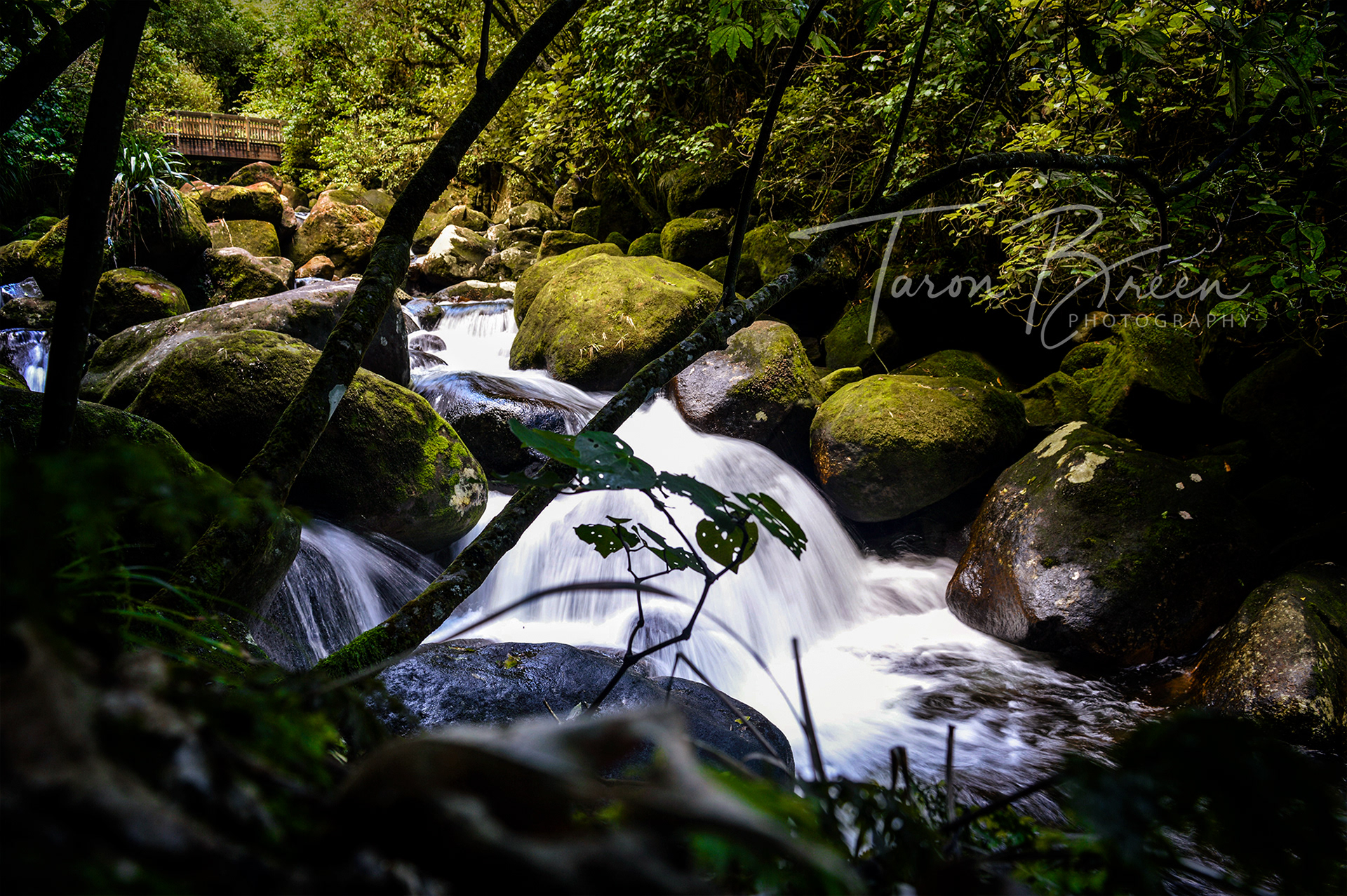 #9 | Wairere Falls | Okauia | New Zealand