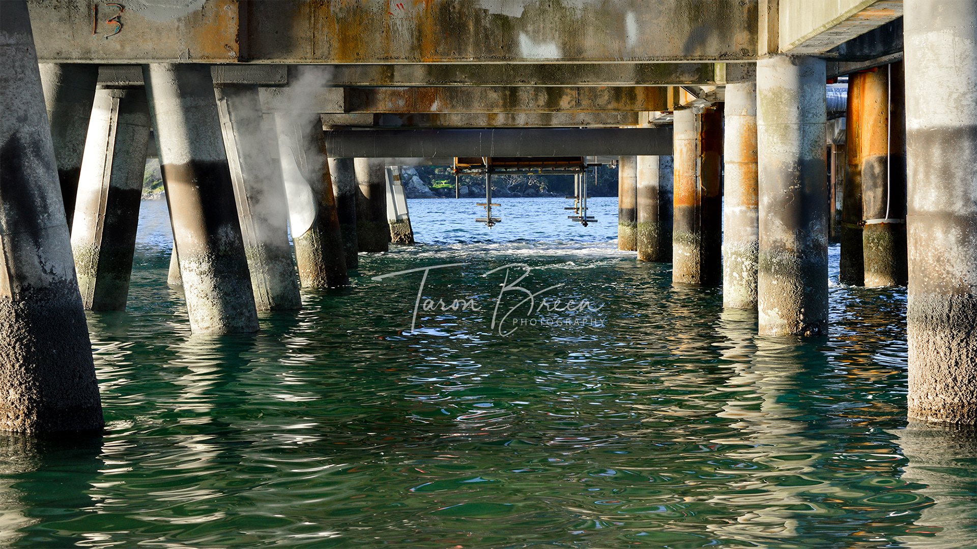 #6 | Marsden Point Wharf | Northland | New Zealand