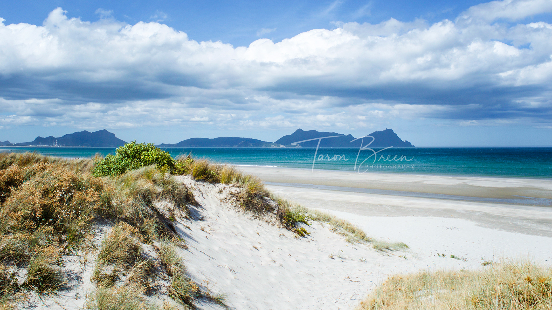 #15 | Ruakaka Beach | Northland | New Zealand