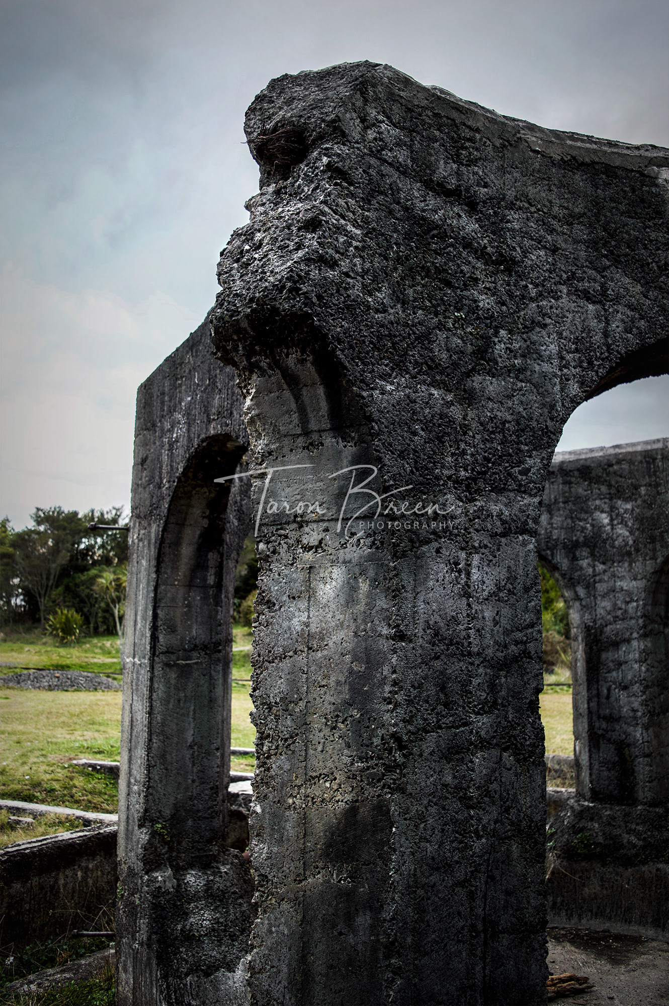#9 | Victoria Battery Site | Waikino