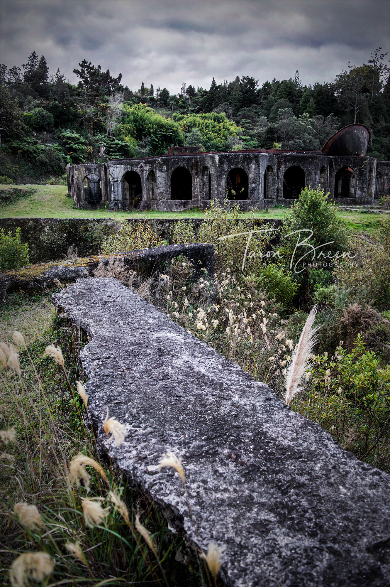 #12 | Victoria Battery Site | Waikino