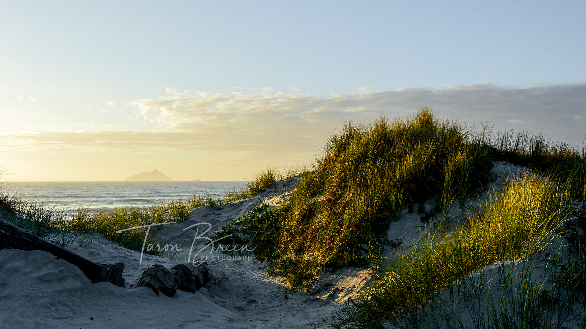 #3 | Ruakaka Beach | Northland | New Zealand