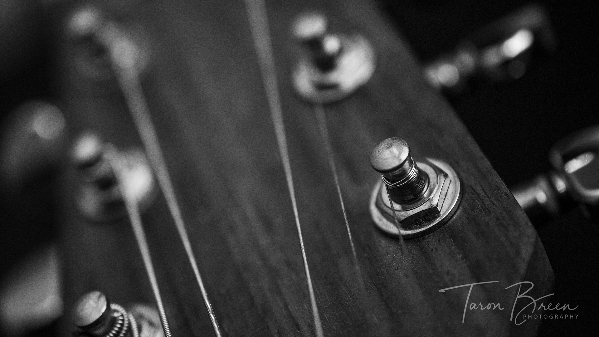 Walden D320T Series