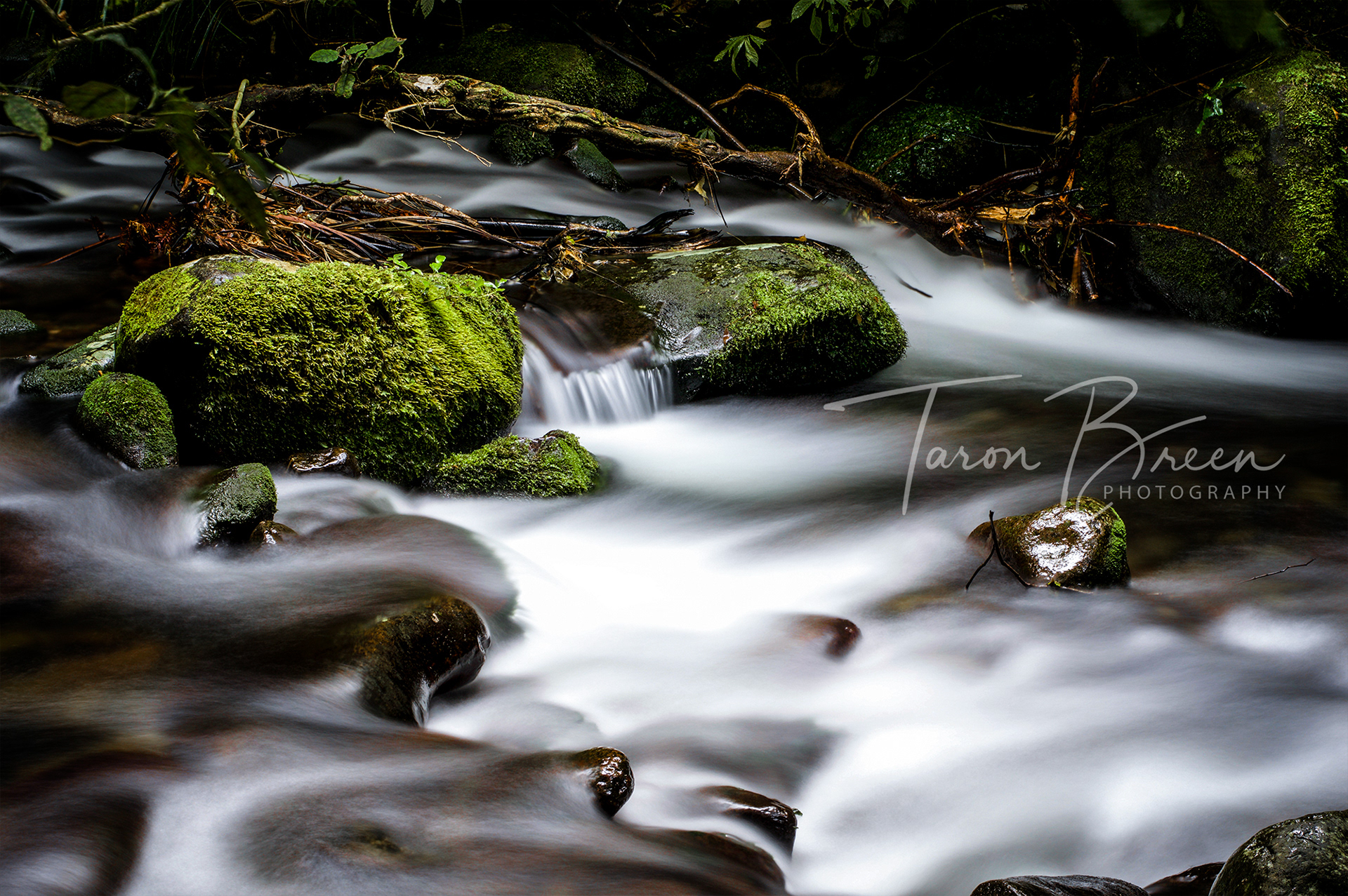 #4 | Pirongia River | Mount Pirongia | New Zealand