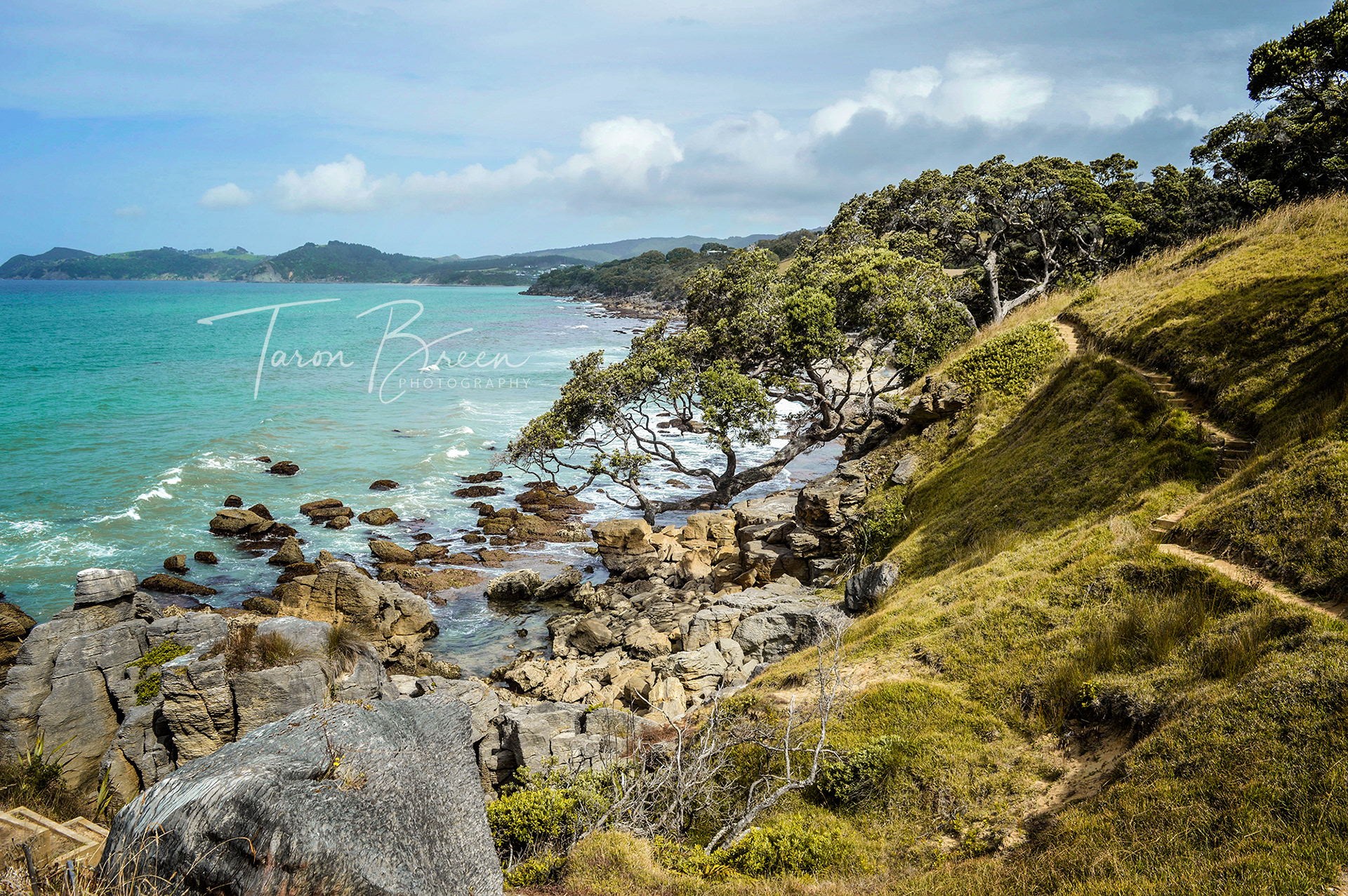 #4 | Waipu Cove | Northland | New Zealand