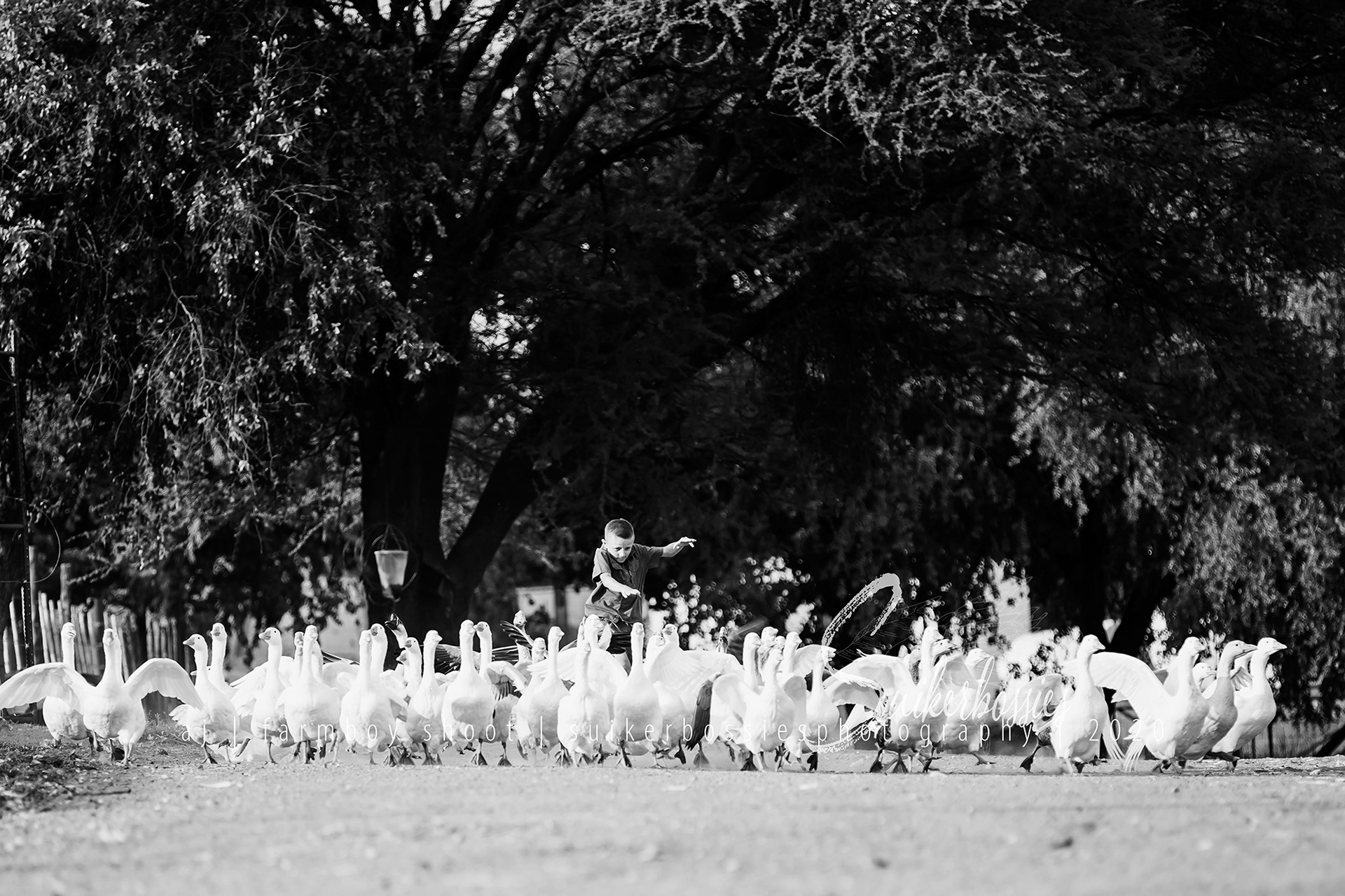 aj | farmboy shoot | suikerbossies photography | 2020