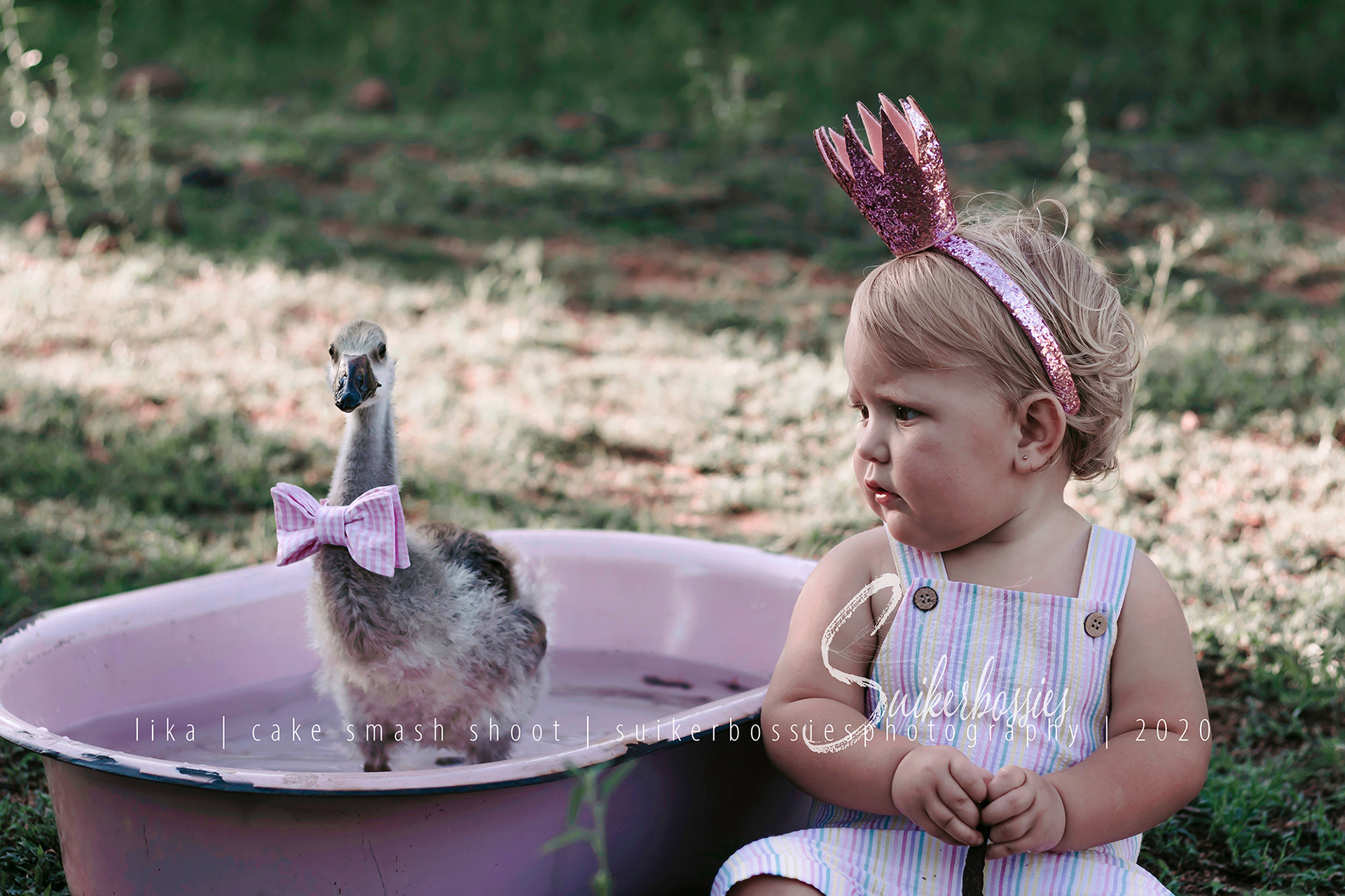 lika | cake smash shoot | suikerbossies photography | 2020