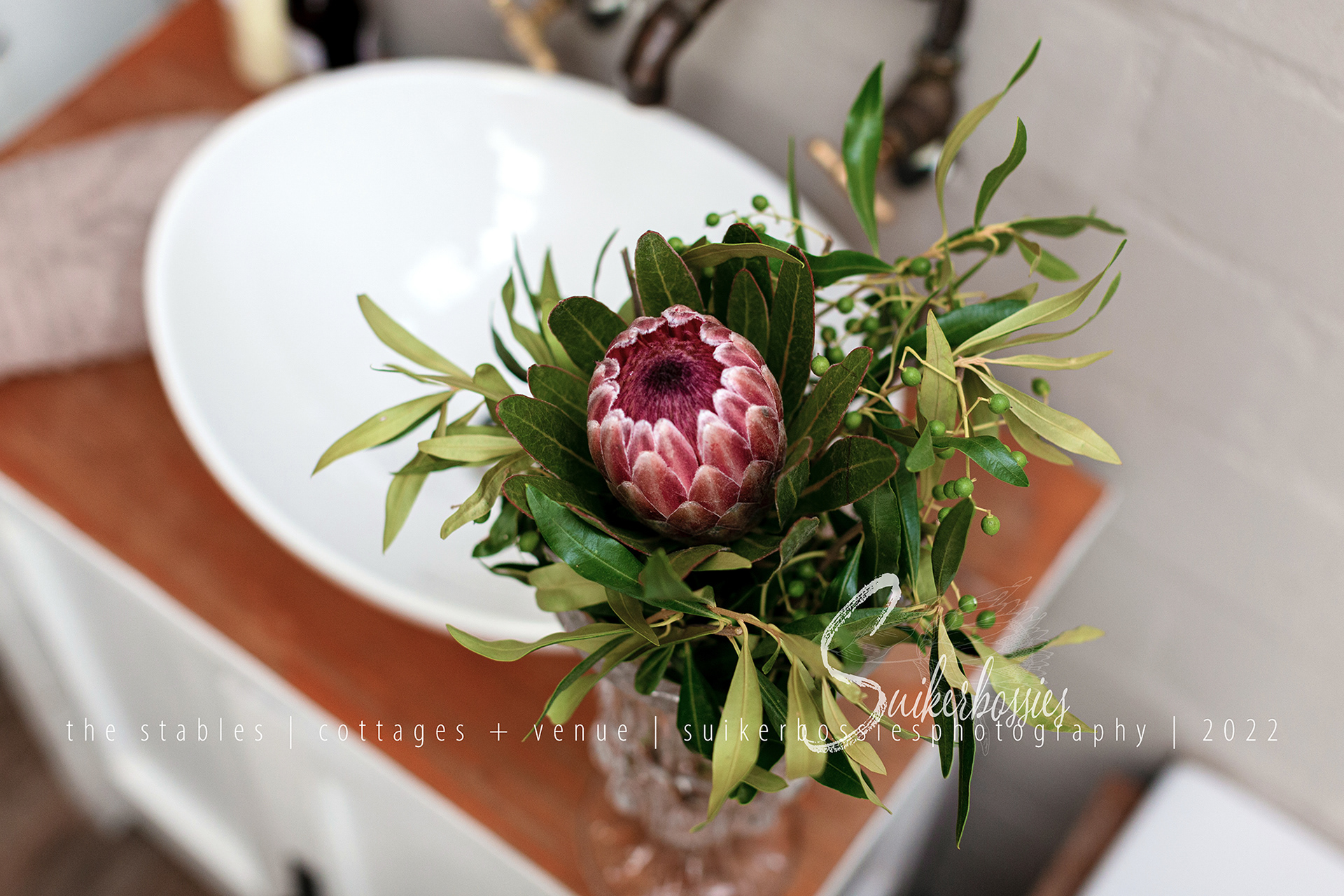 the stables | cottages + venue | suikerbossies photography | 2022 