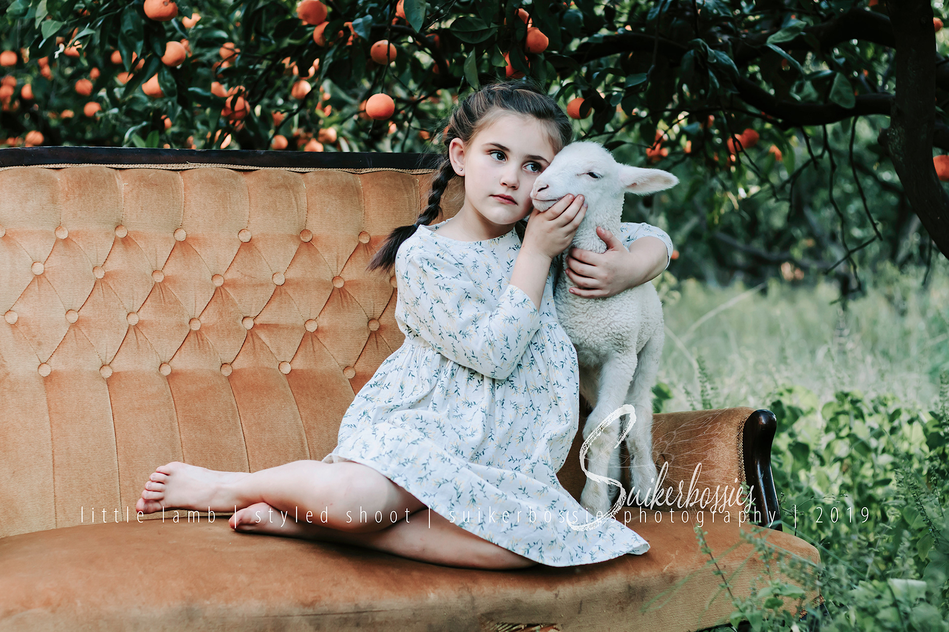 little lamb | styled shoot | suikerbossies photography | 2019