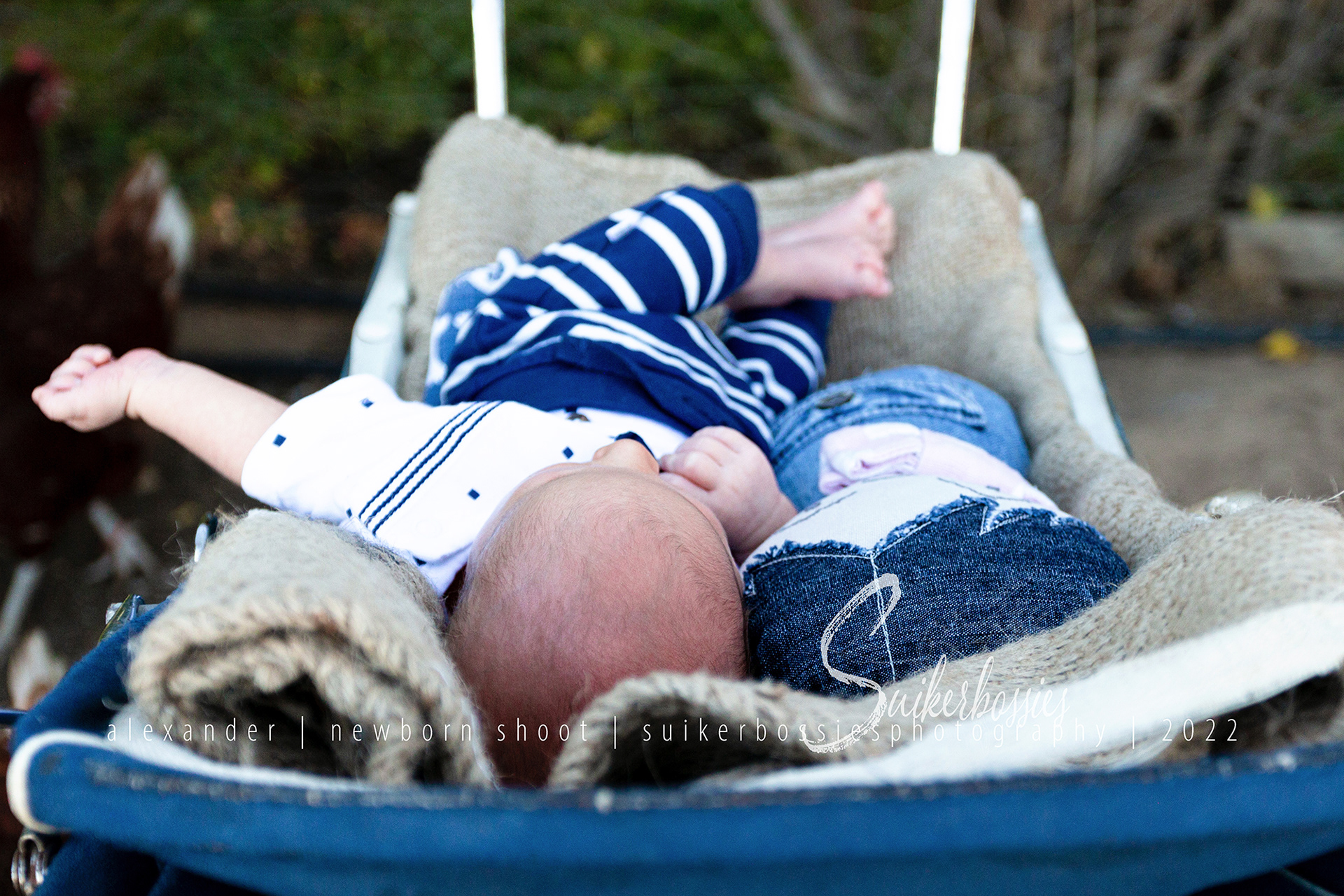 alexander | newborn shoot | suikerbossies photography | 2022