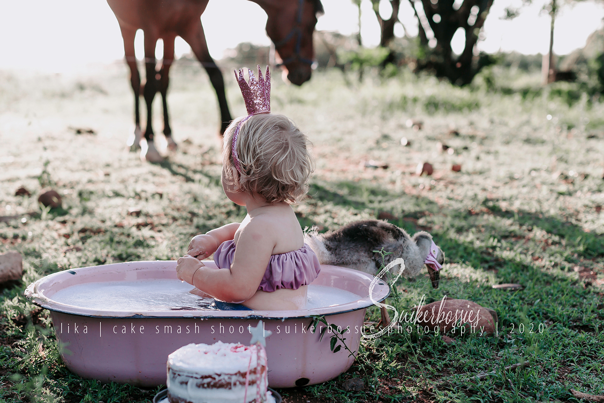 lika | cake smash shoot | suikerbossies photography | 2020