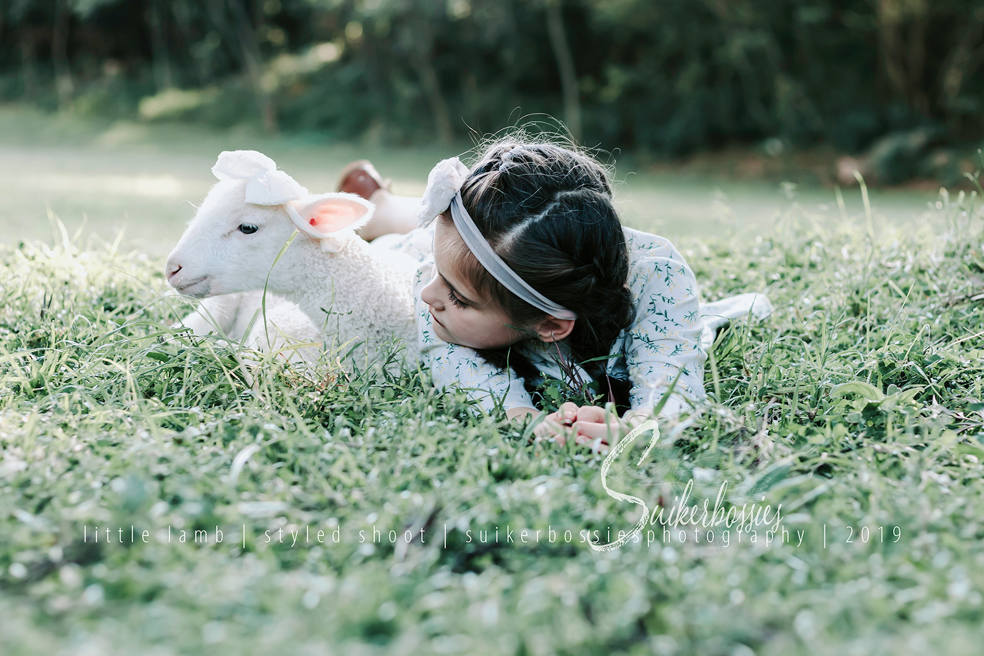 little lamb | styled shoot | suikerbossies photography | 2019