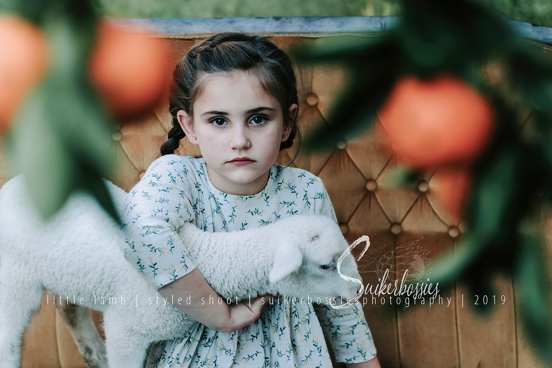 little lamb | styled shoot | suikerbossies photography | 2019