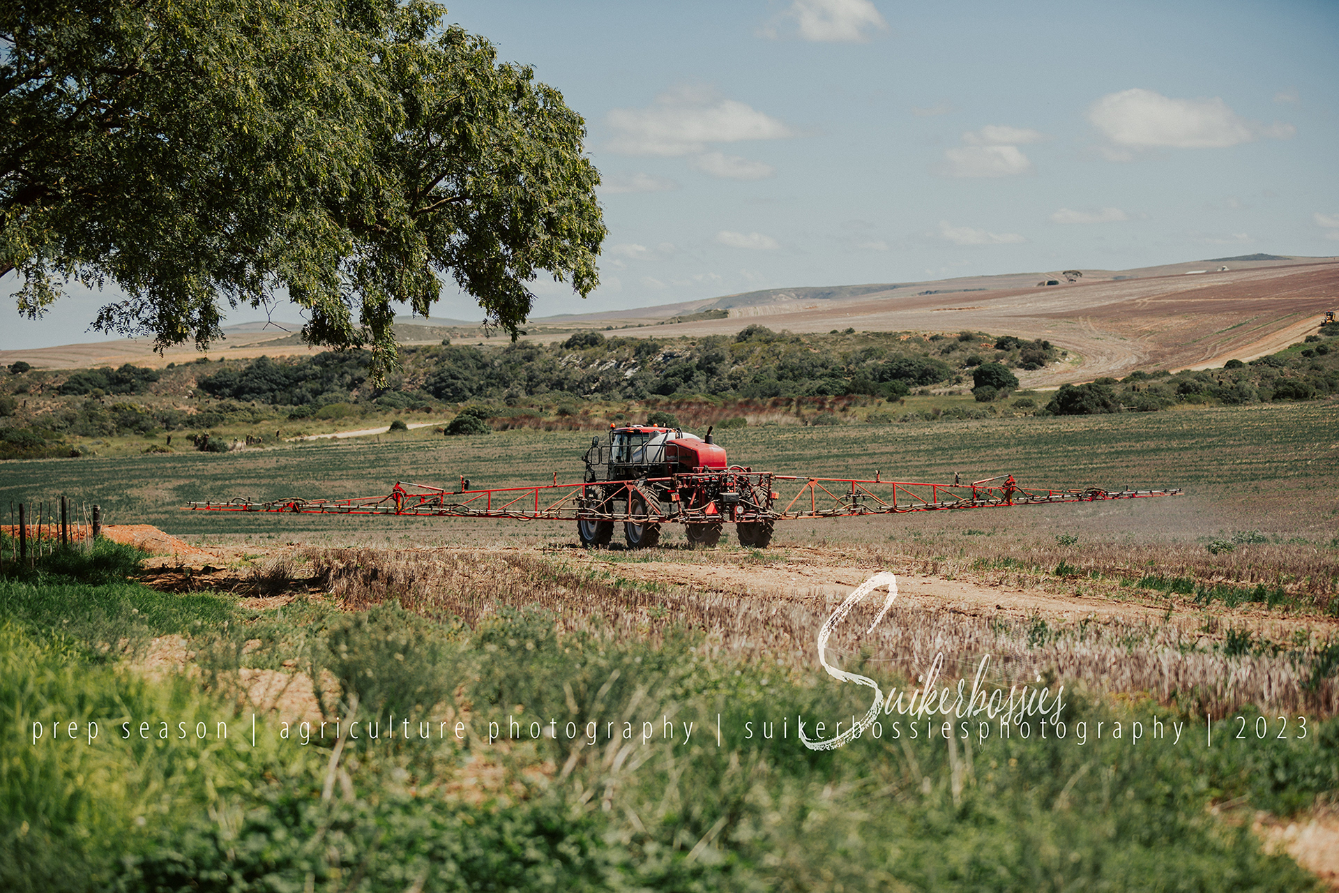 prep season | agriculture photography | suikerbossies photography | 2023