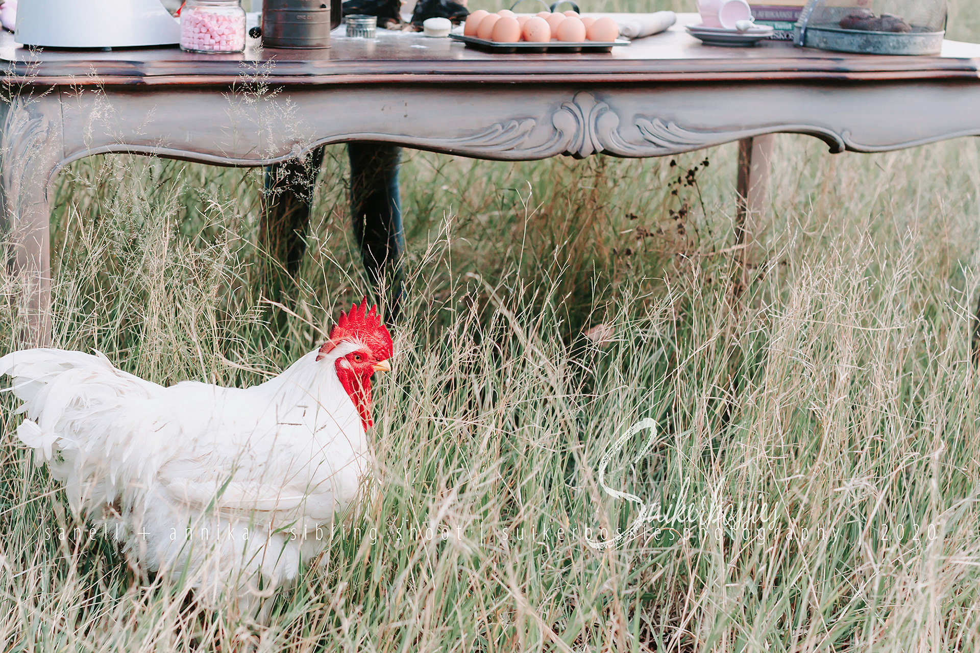 sanéll + annika | sibling shoot | suikerbossies photography | 2020