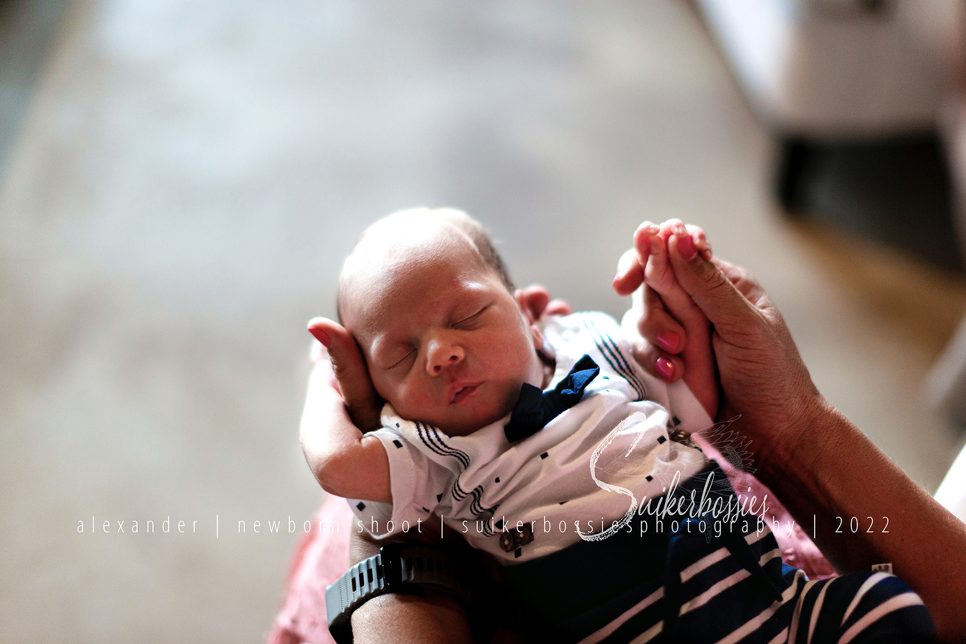 alexander | newborn shoot | suikerbossies photography | 2022