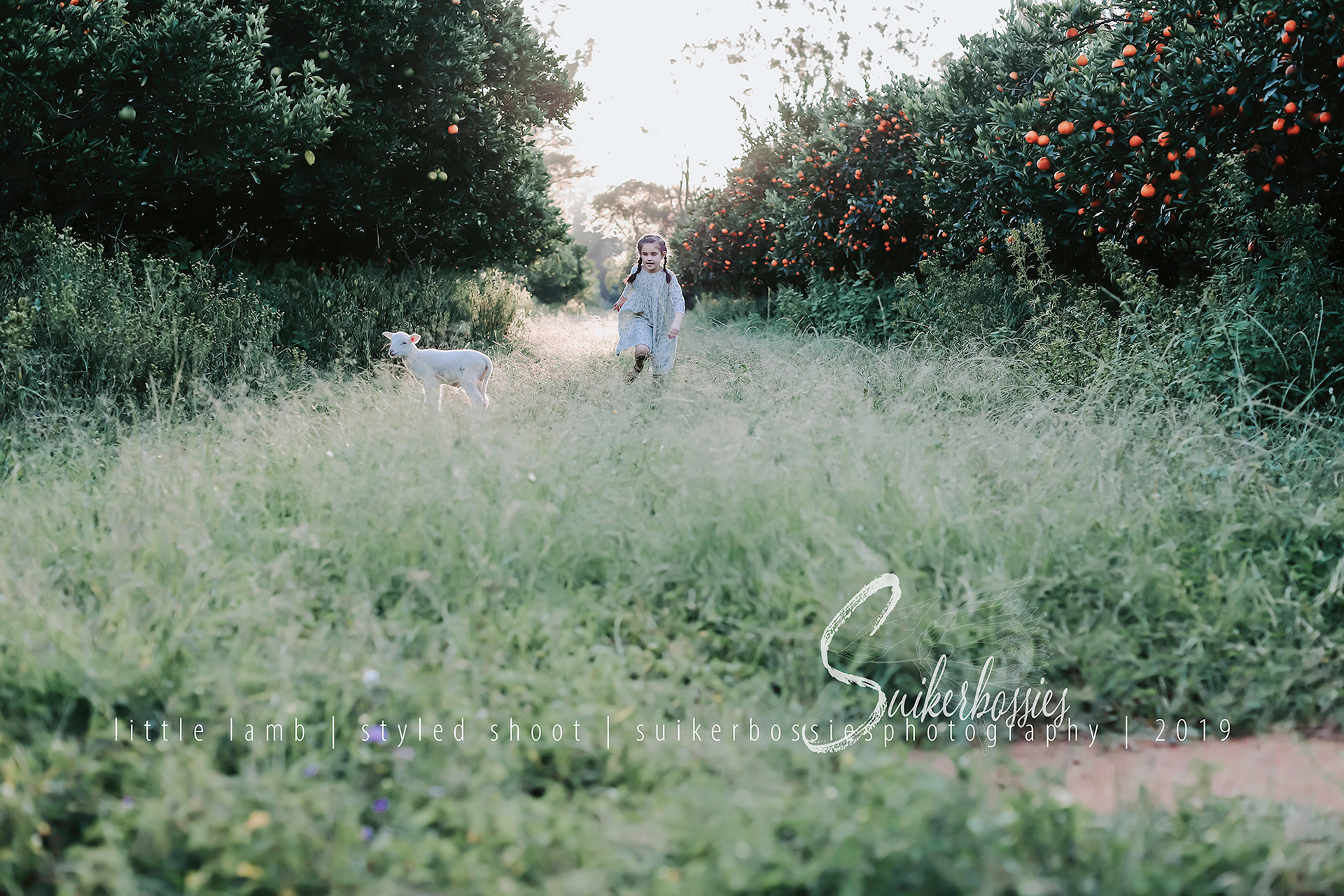 little lamb | styled shoot | suikerbossies photography | 2019